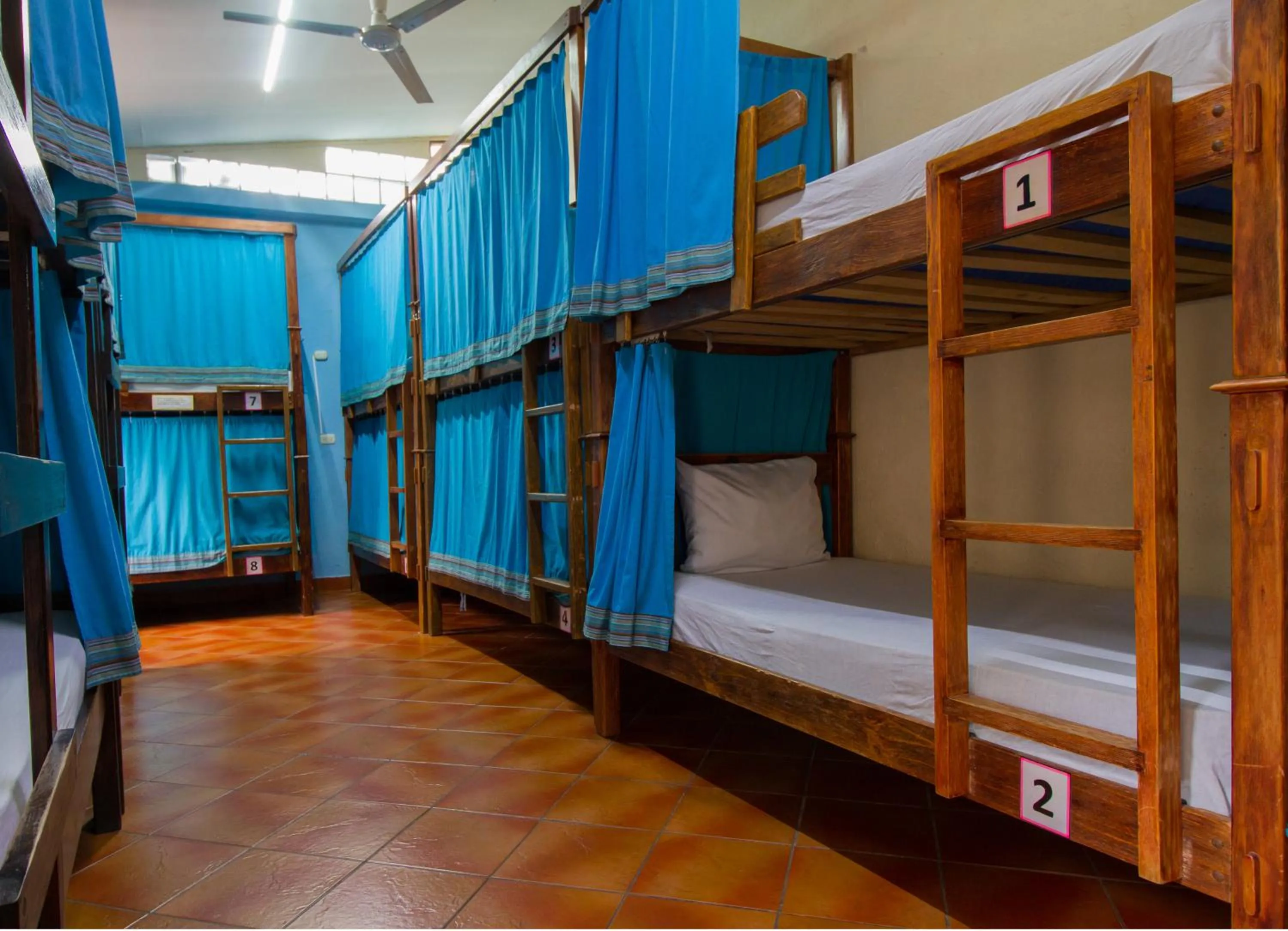 bunk bed, Bed in Hostal Antigua