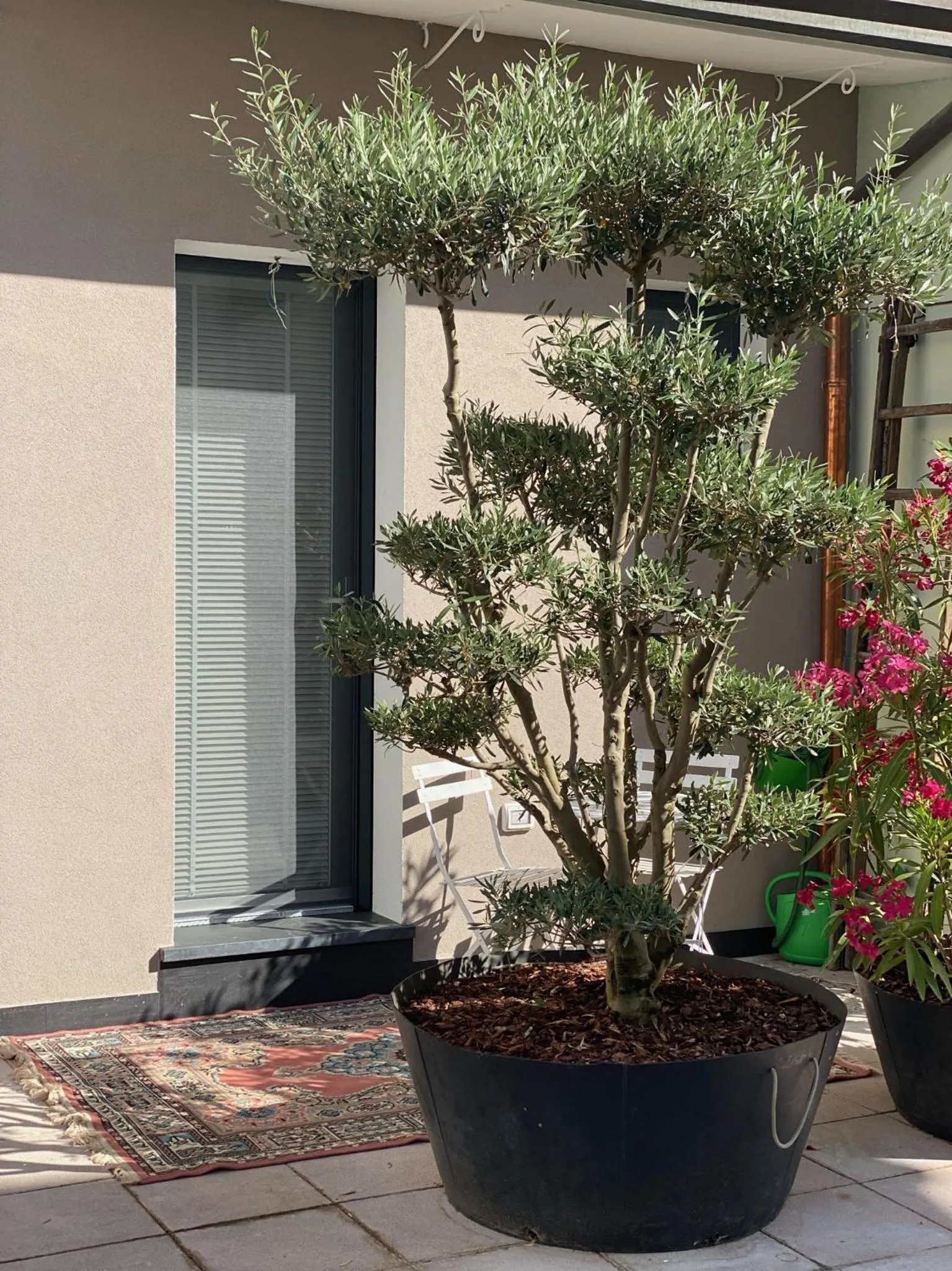 squero 911 appartament