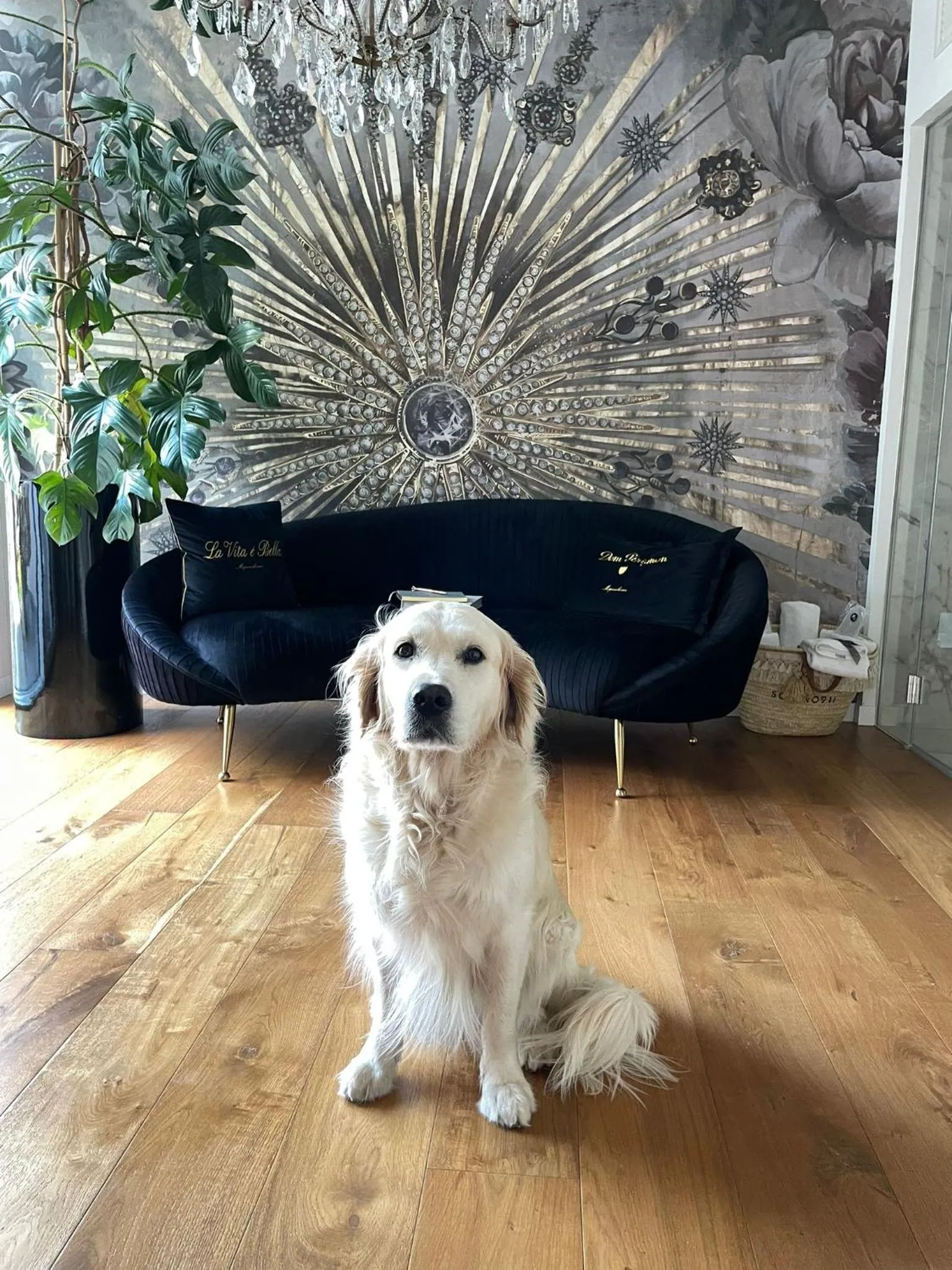 squero 911 appartament