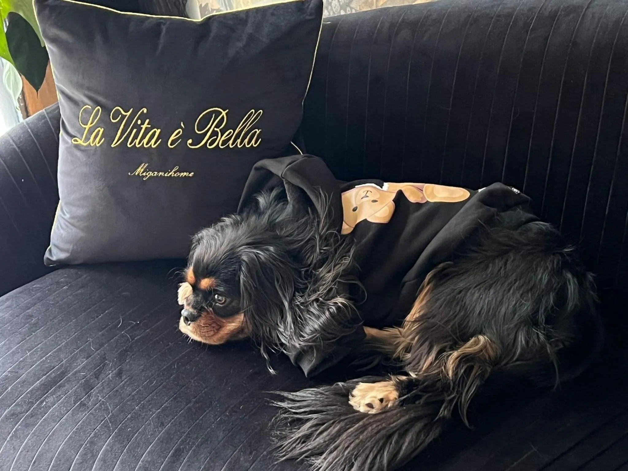 squero 911 appartament