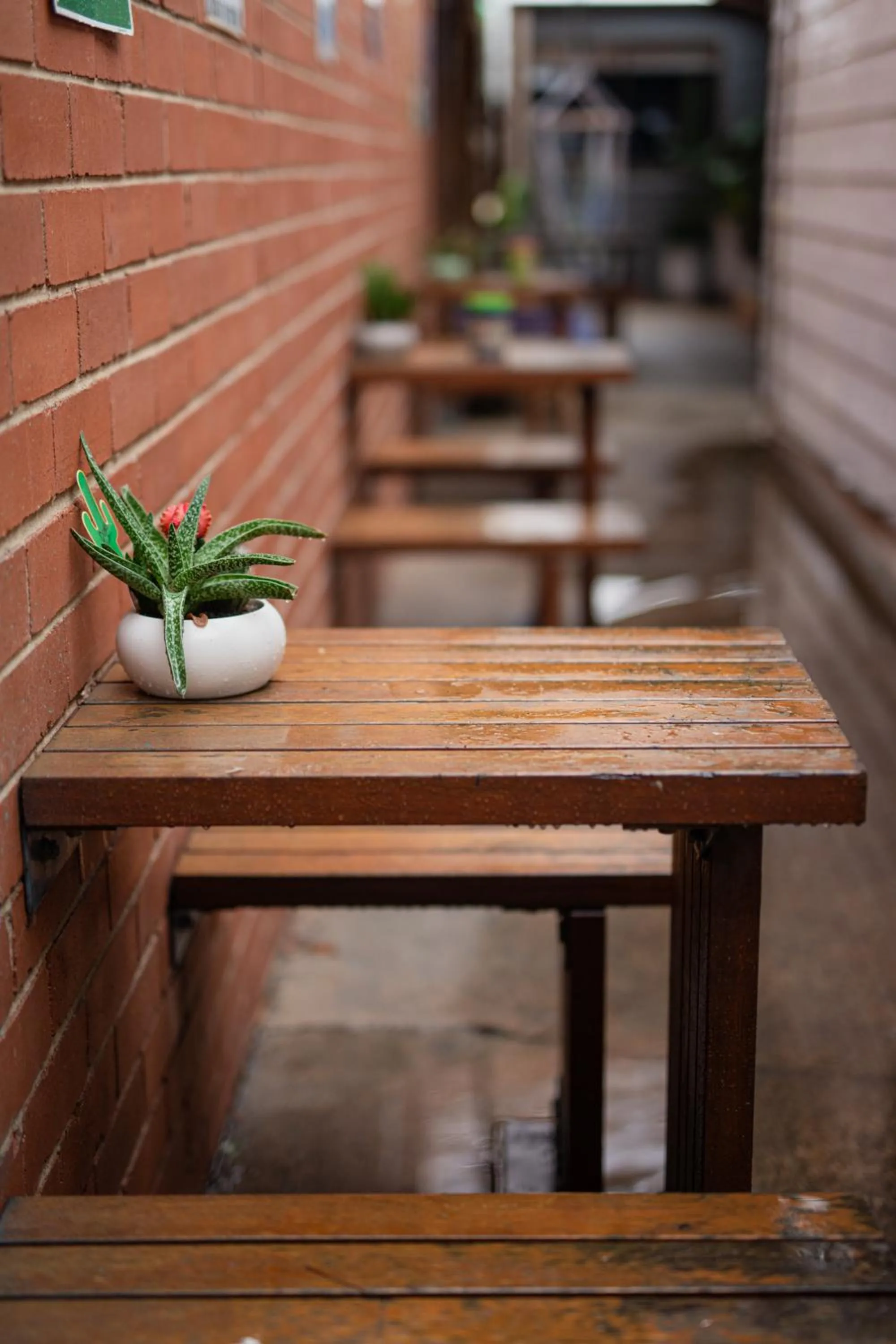 Patio in Backpackers Newcastle