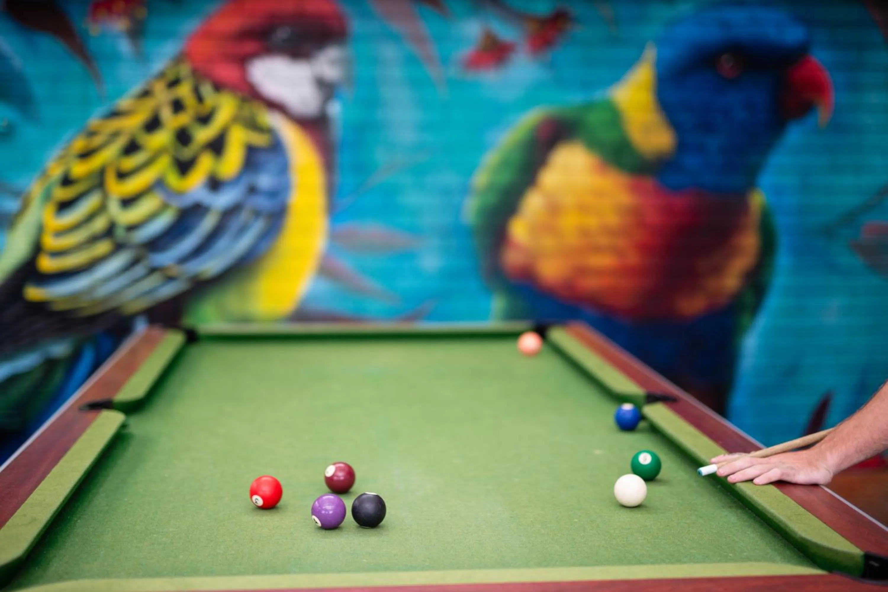 Billiard in Backpackers Newcastle