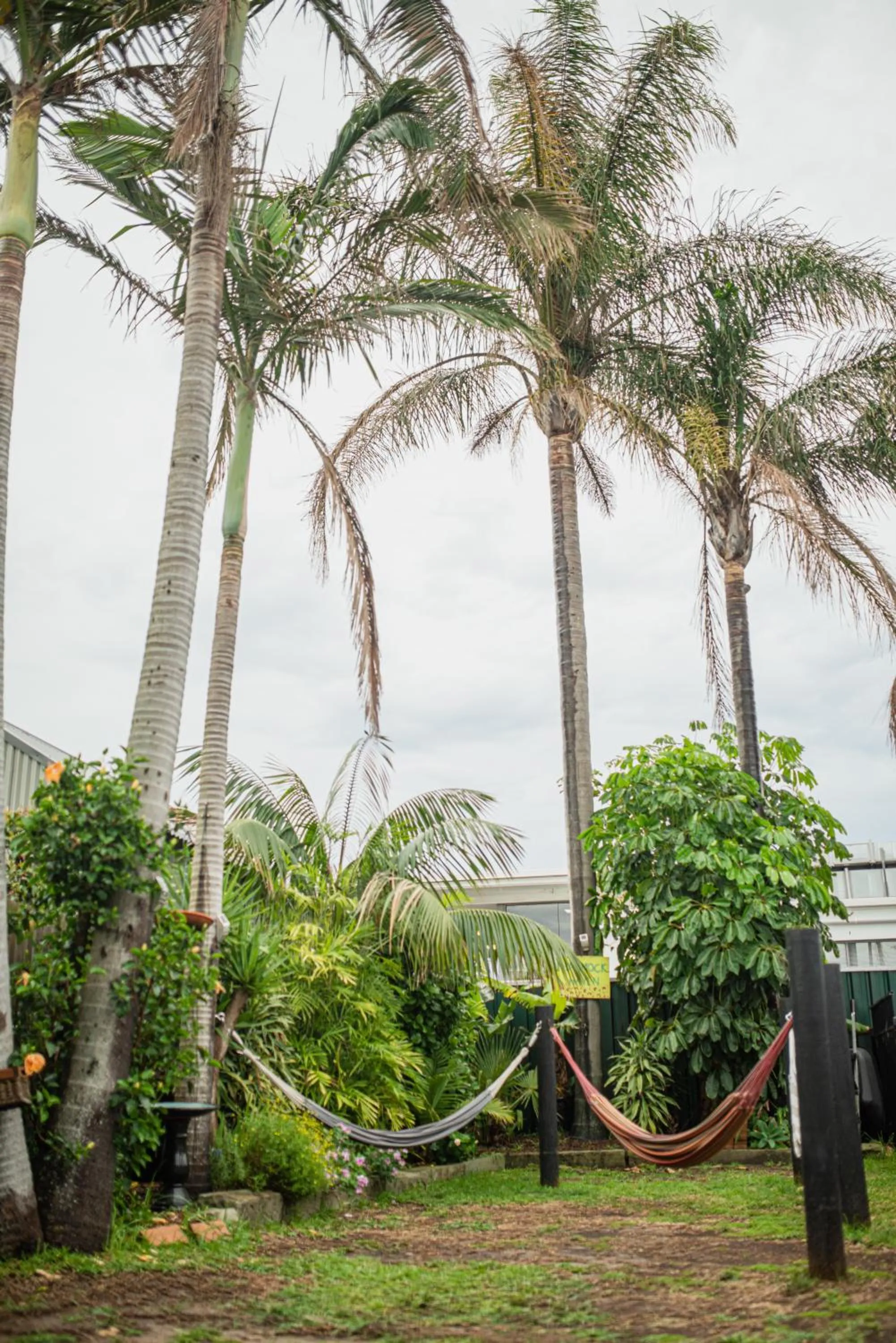 Patio in Backpackers Newcastle