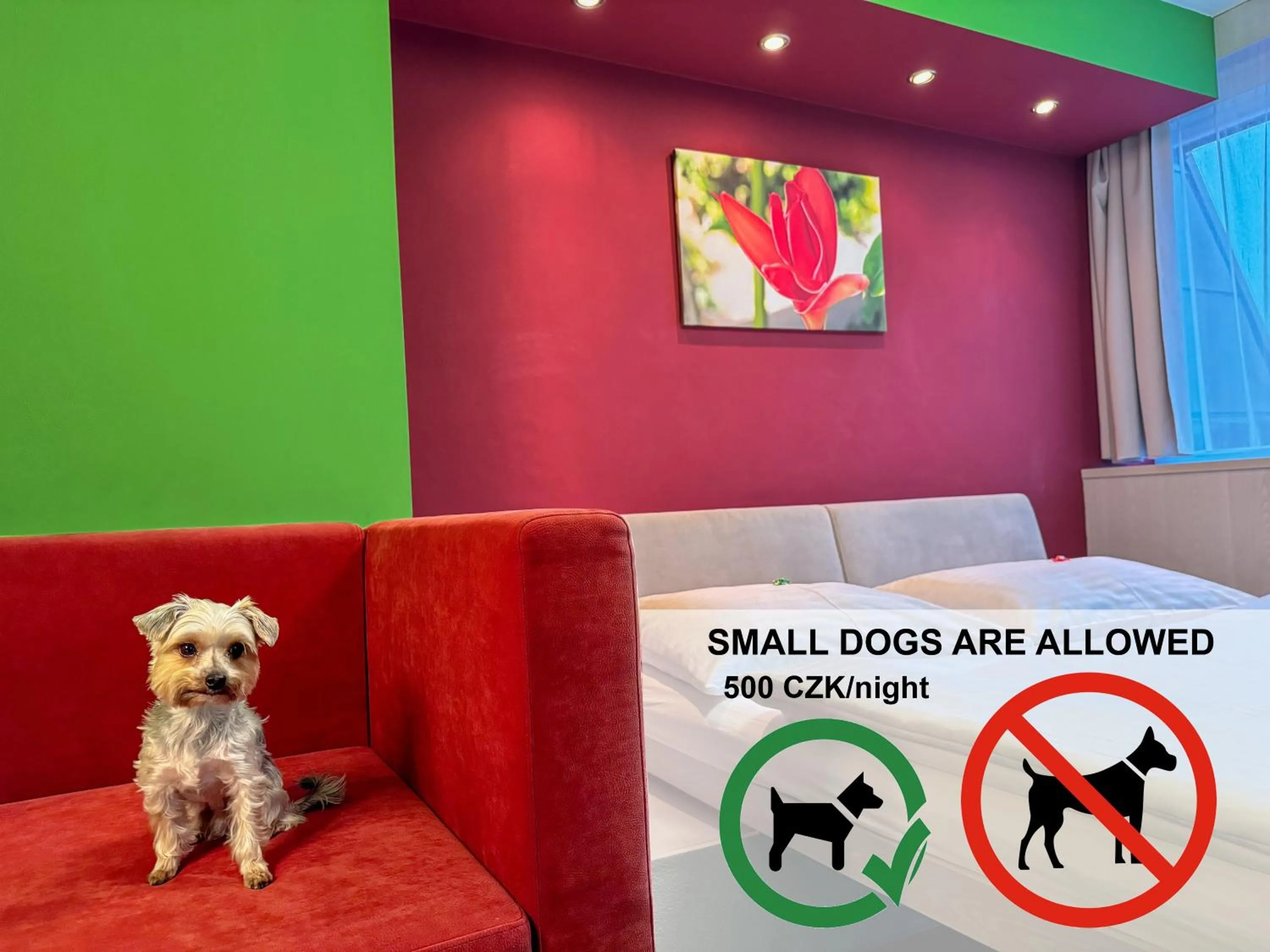 Text overlay in Hotel Koruna