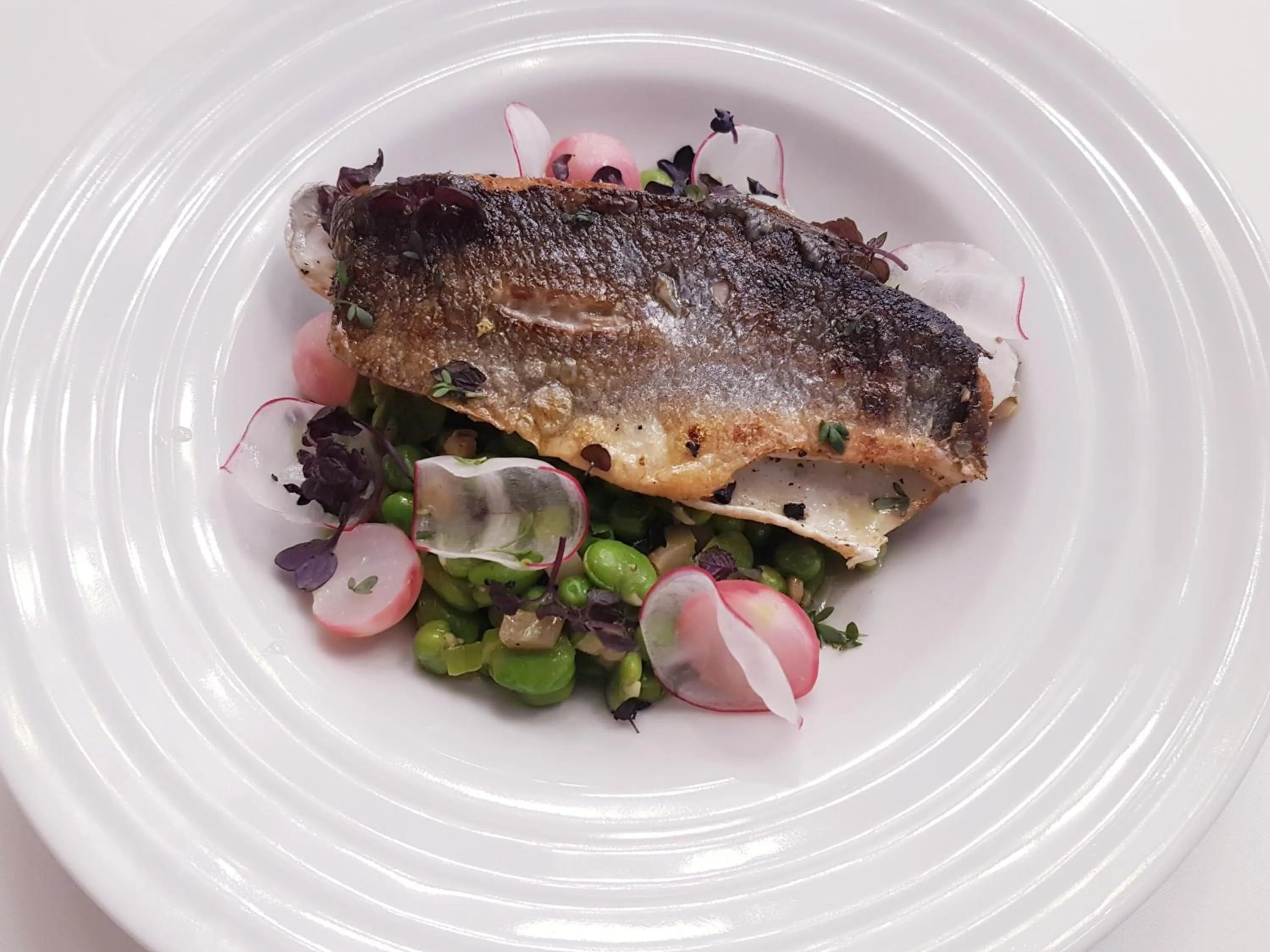 Dinner in Spa Hotel ULRIKA