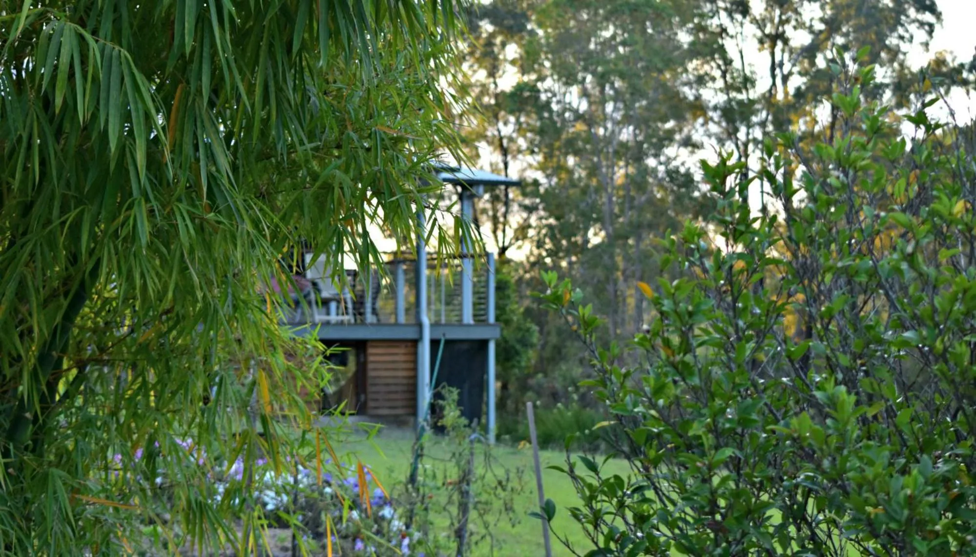 Garden in Melawondi Spring Retreat