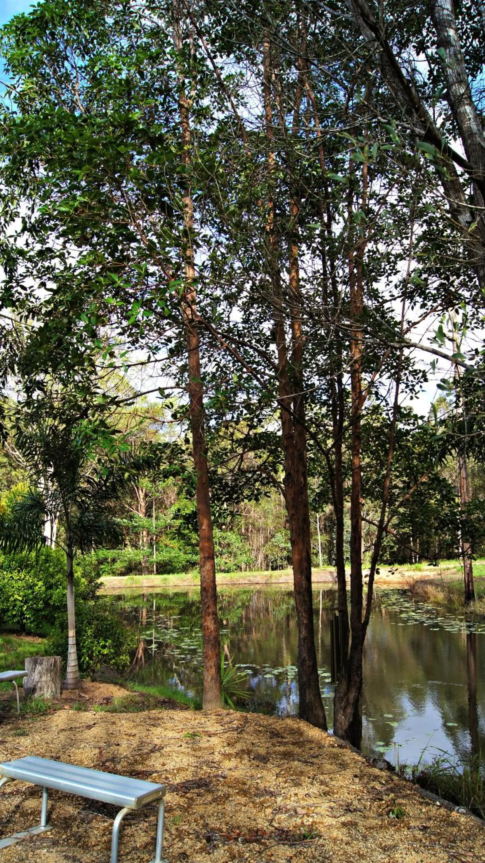 Area and facilities in Melawondi Spring Retreat