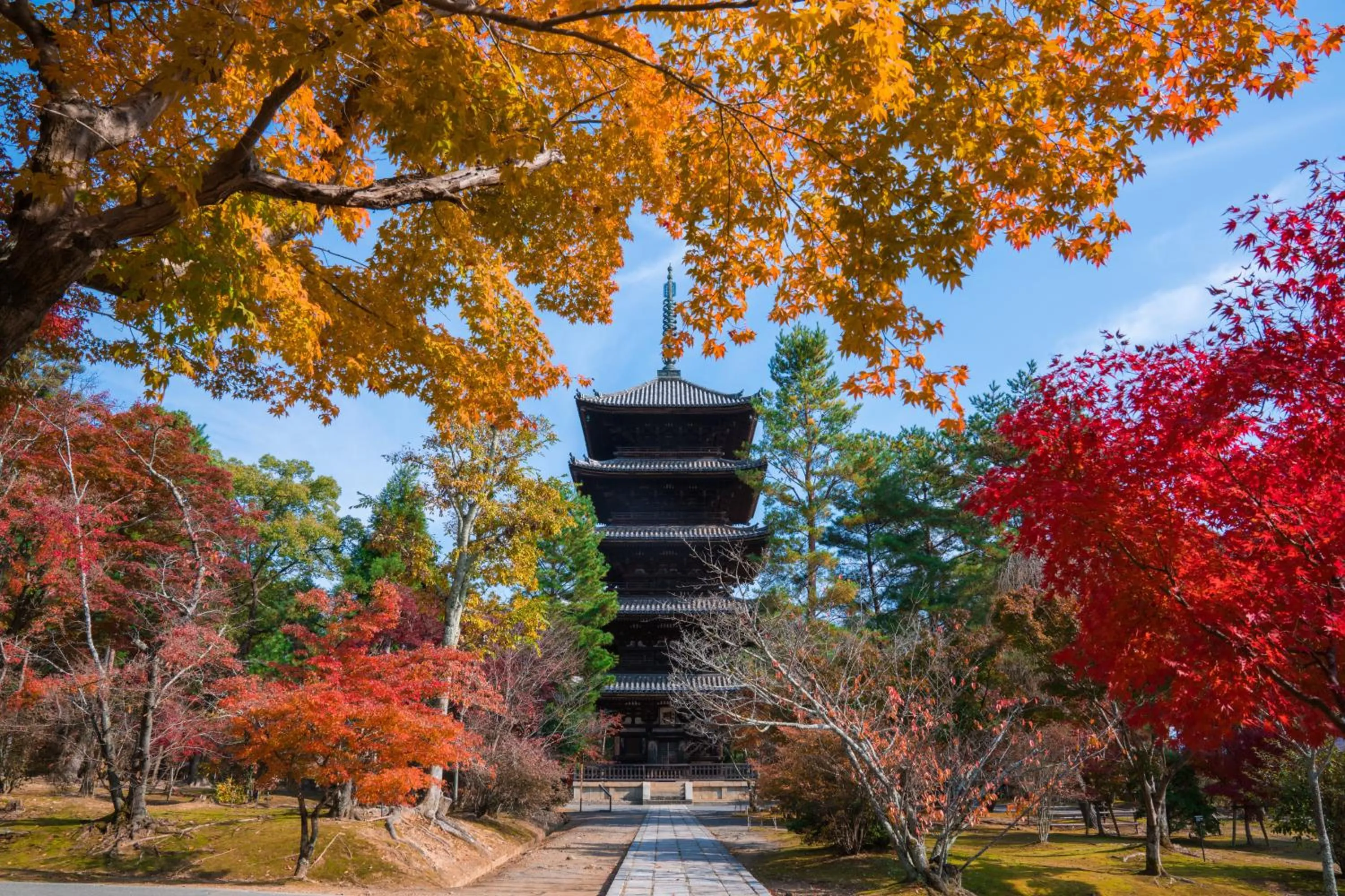 Activities in Hotel Grand Bach Kyoto Select