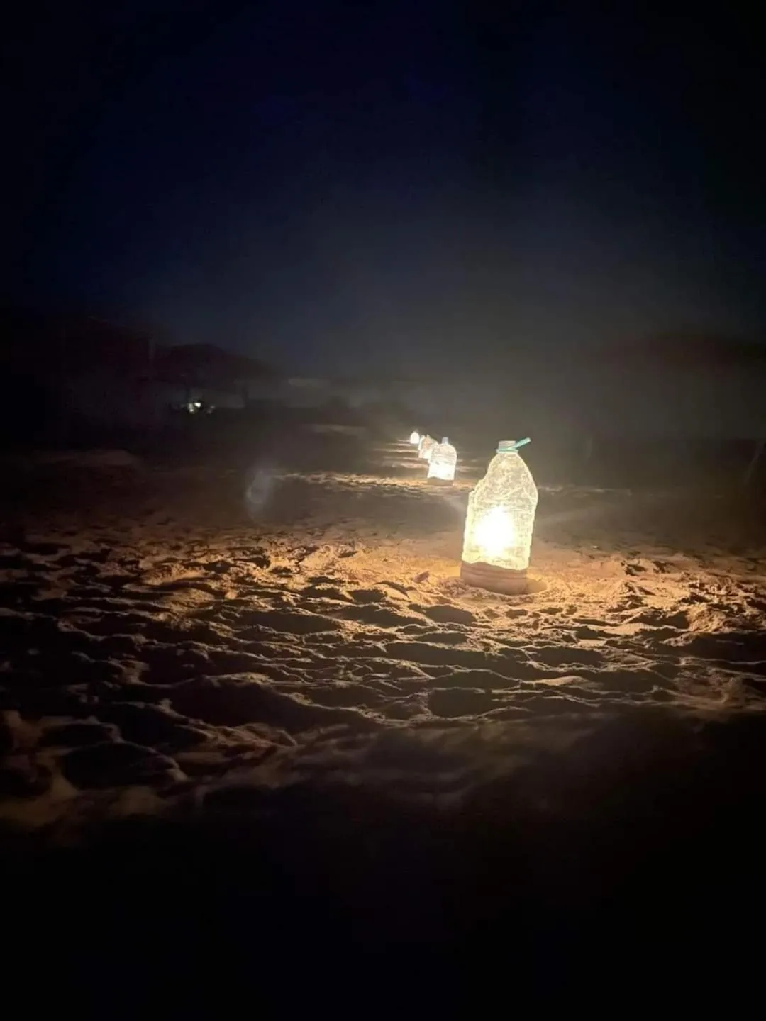 Night in OASIS Resort