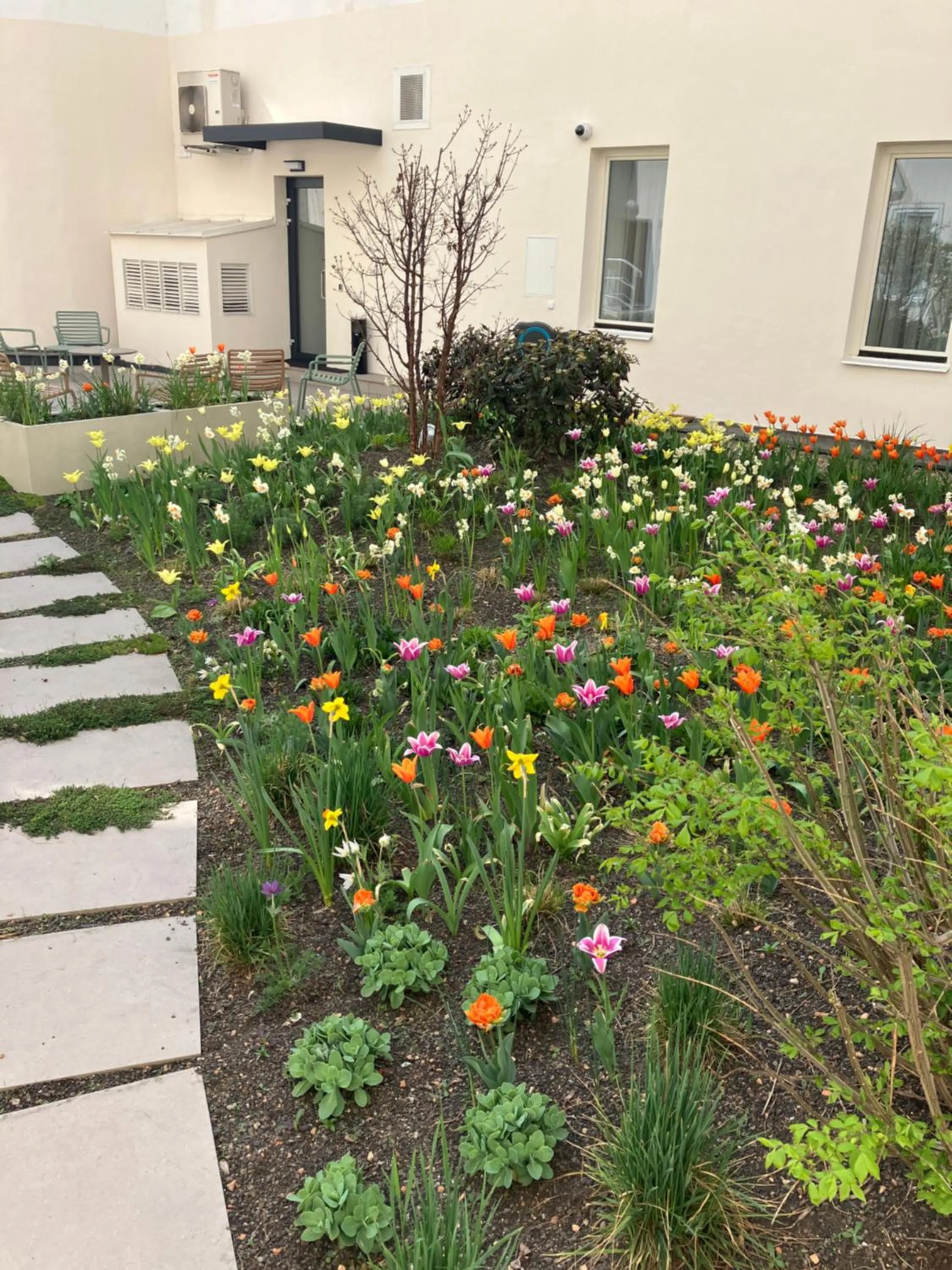 Garden in Hotel Beránek