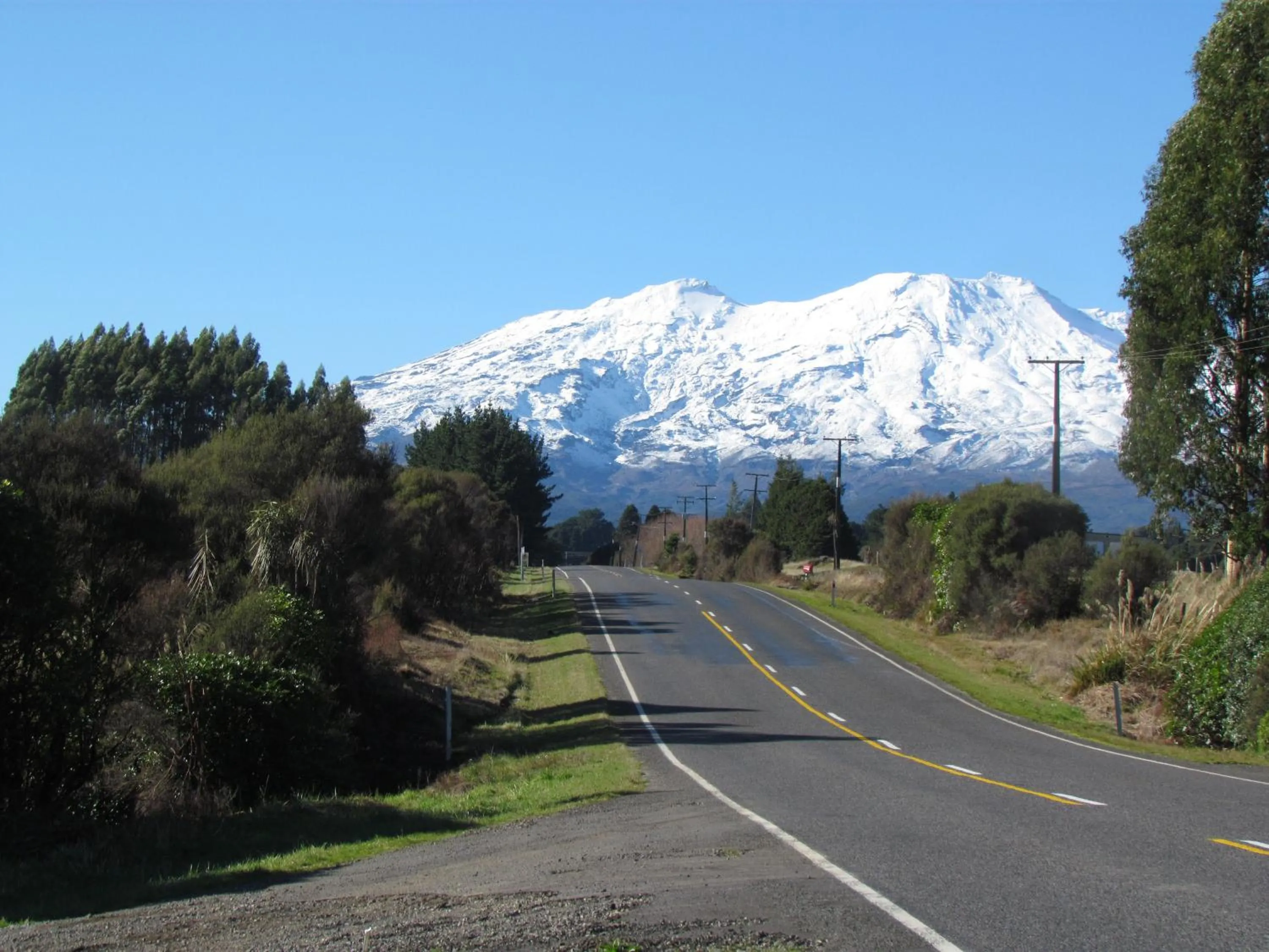 Area and facilities in Tongariro Suites