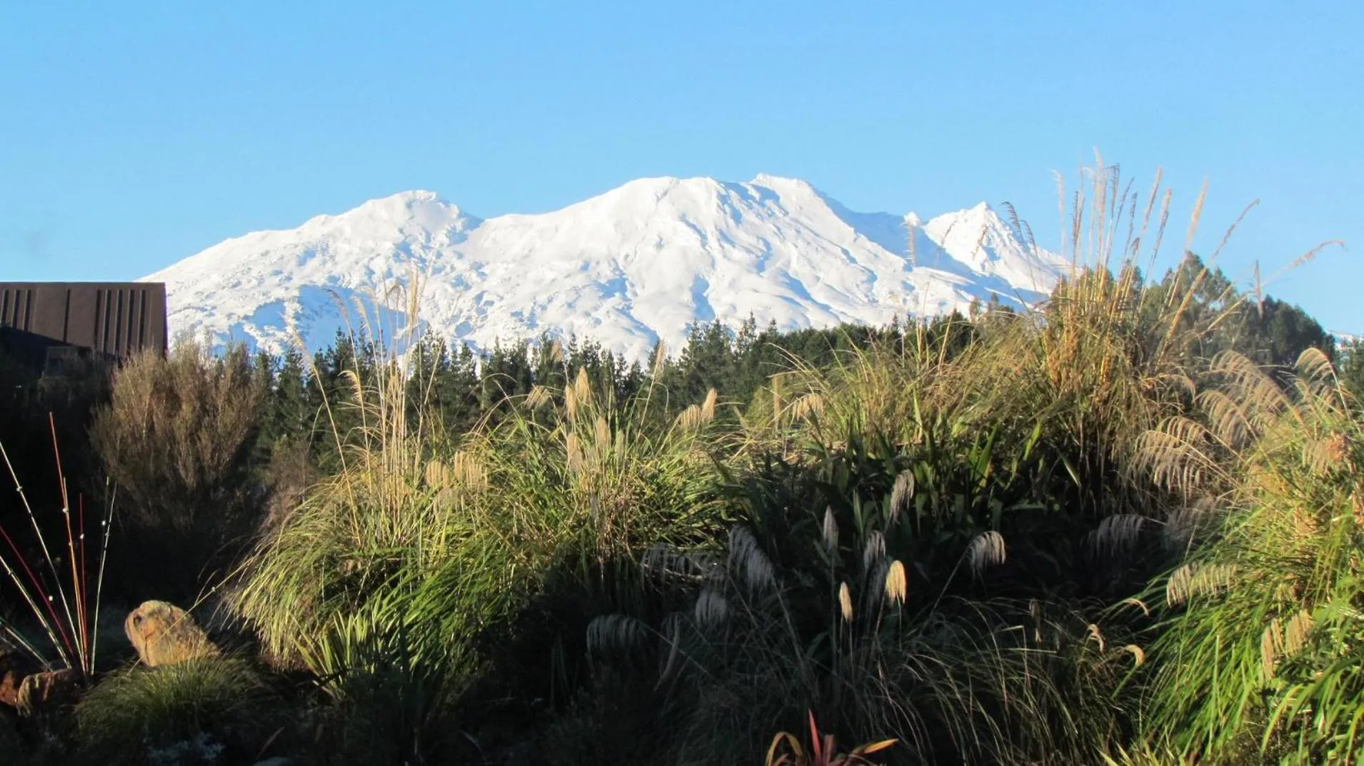 View (from property/room) in Tongariro Suites