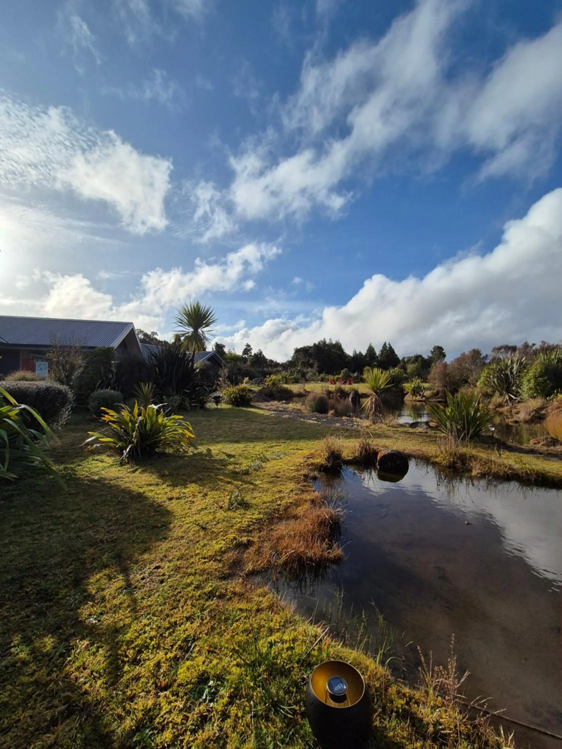 Natural landscape in Tongariro Suites
