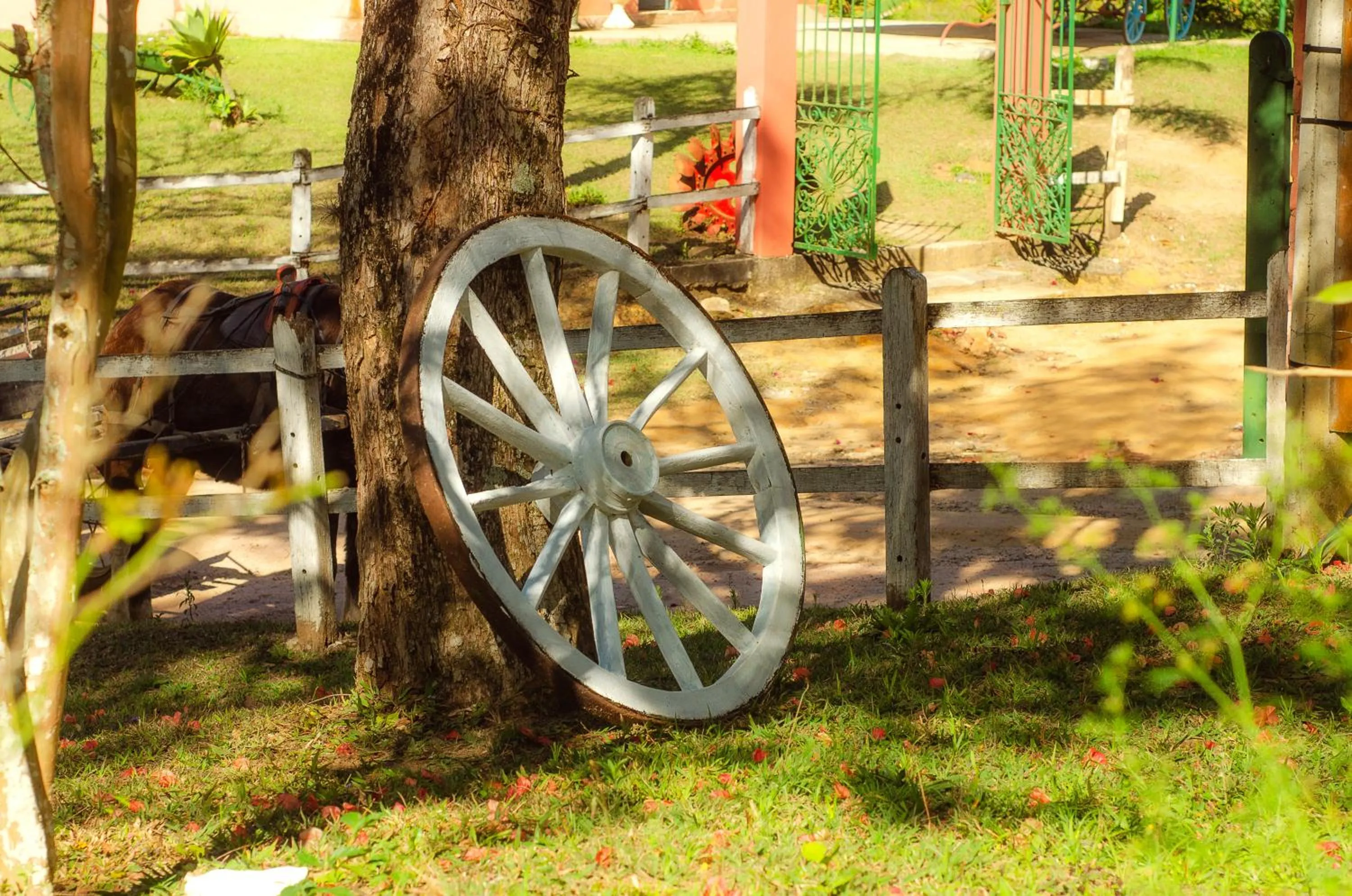Decorative detail in Hotel Fazenda FASCINAÇÃO