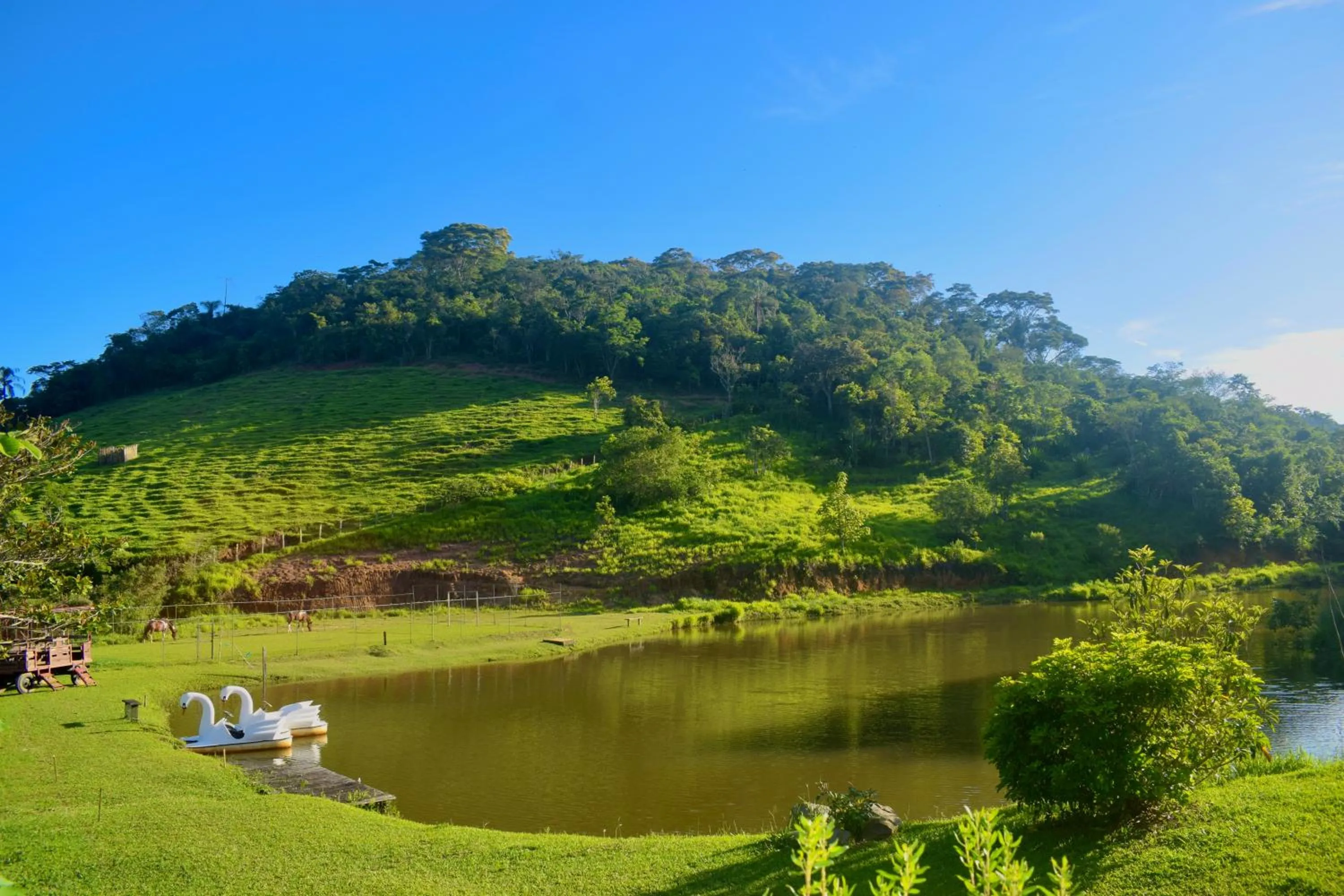 Lake view in Hotel Fazenda FASCINAÇÃO