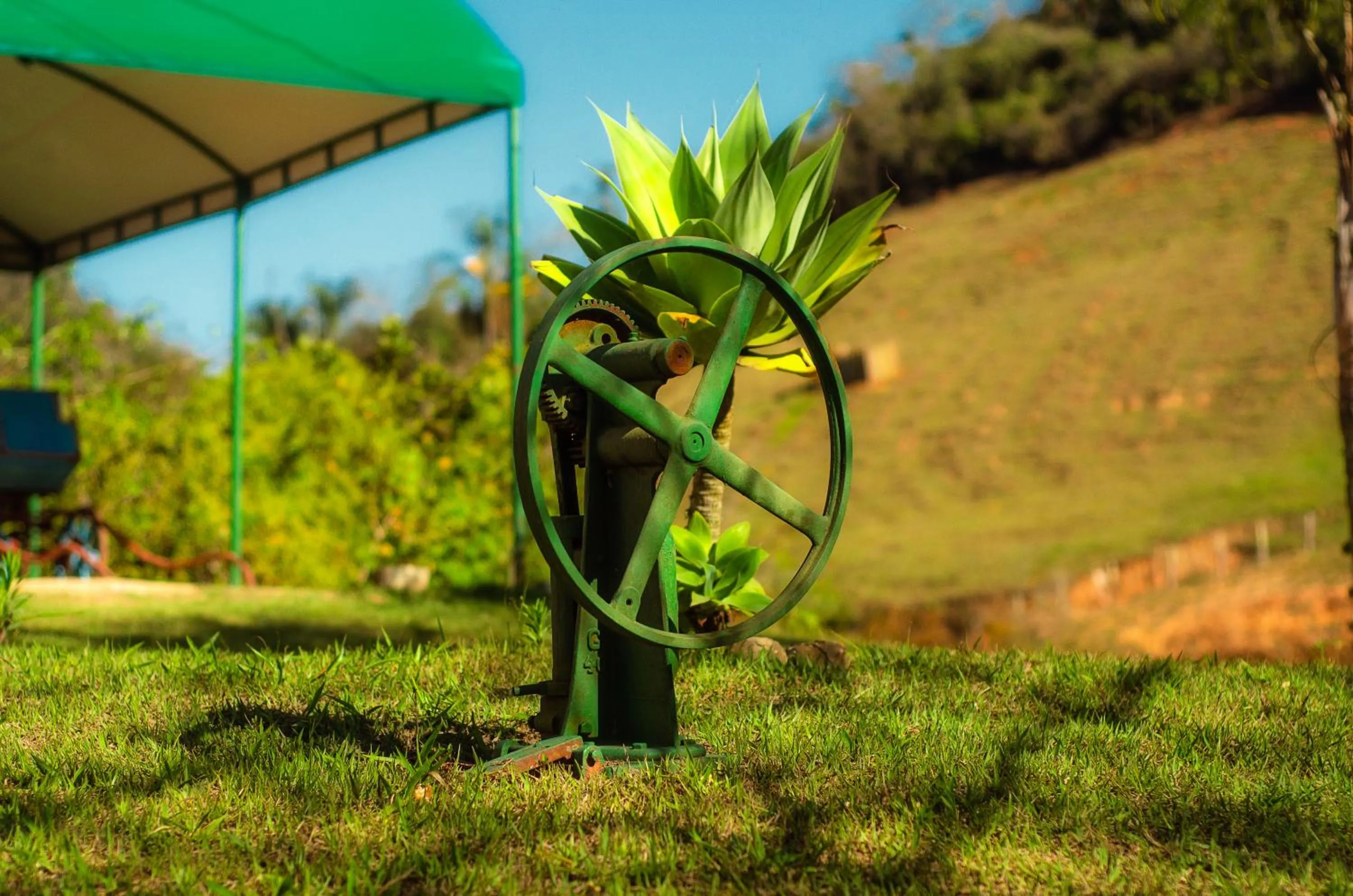 Decorative detail in Hotel Fazenda FASCINAÇÃO