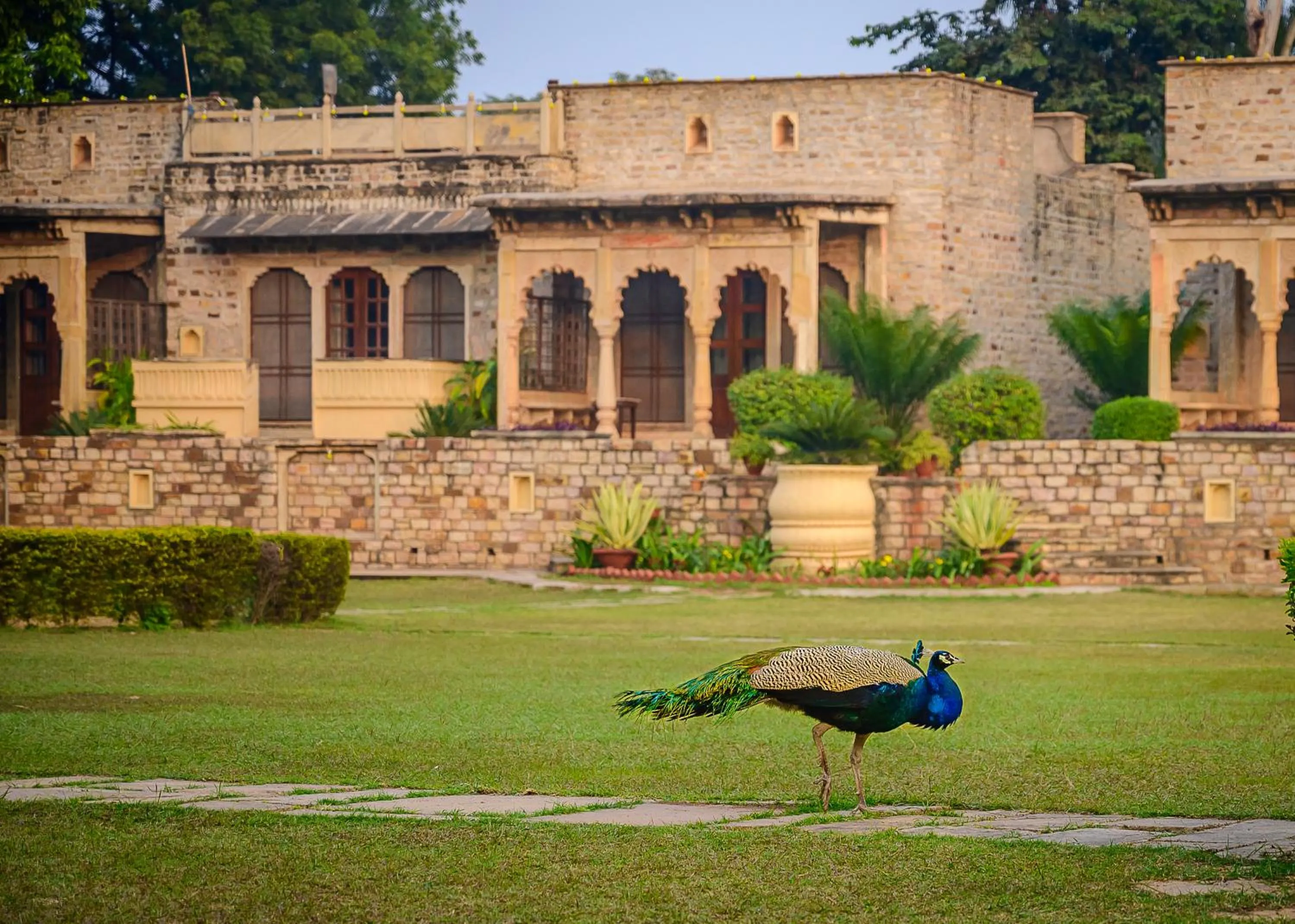 Neemrana's - Deo Bagh