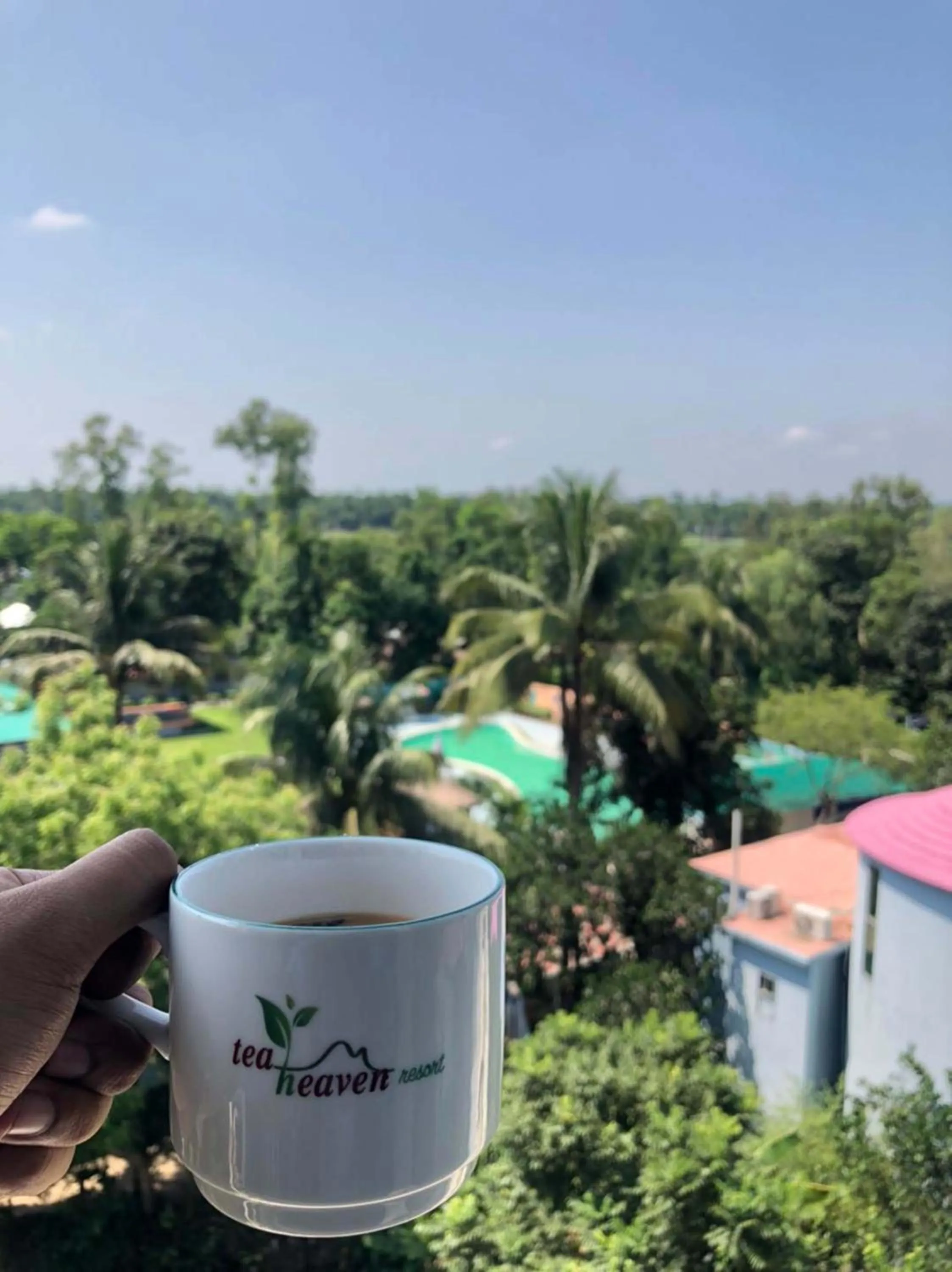 View (from property/room) in Tea Heaven Resort
