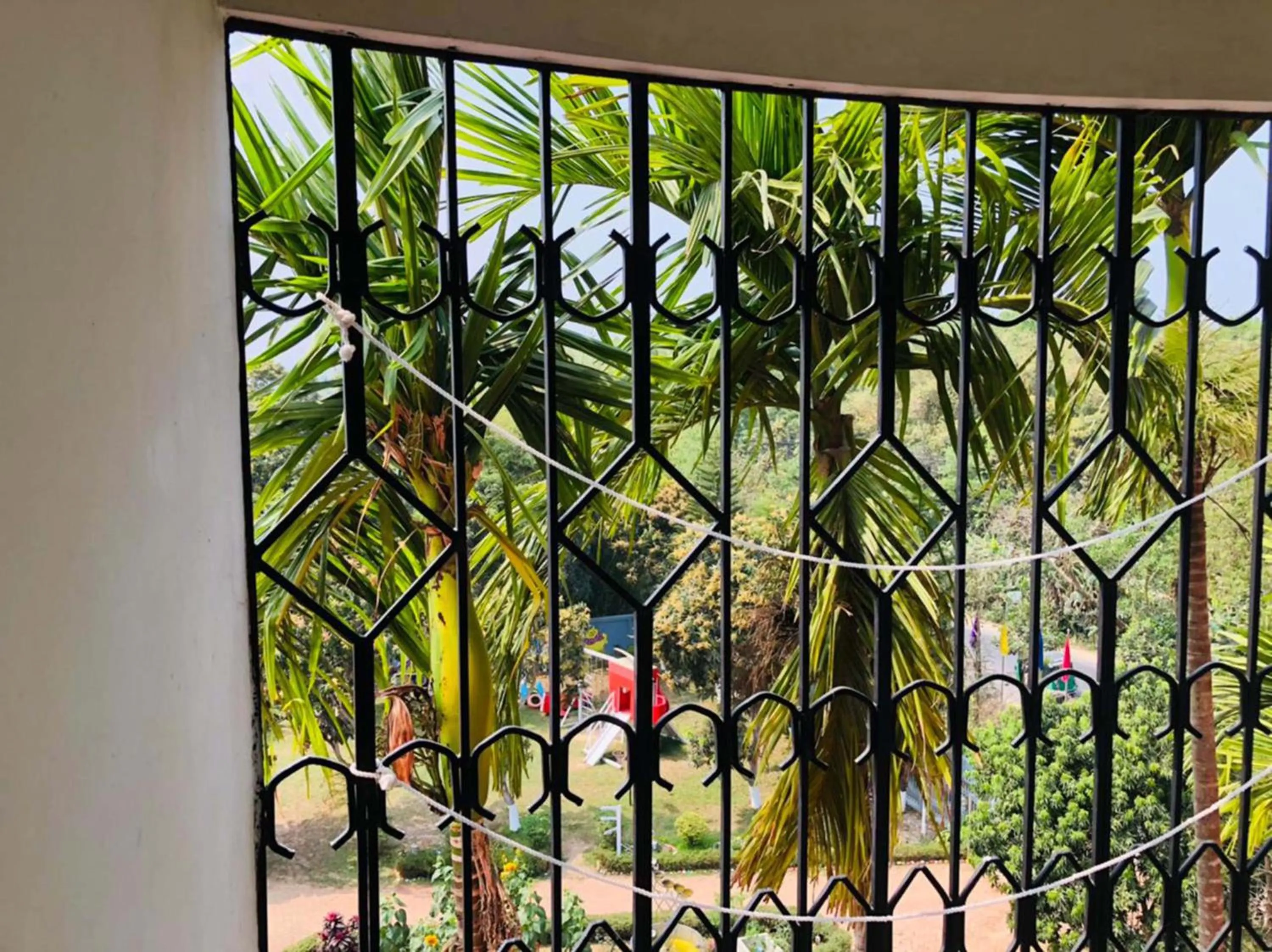 Garden in Tea Heaven Resort