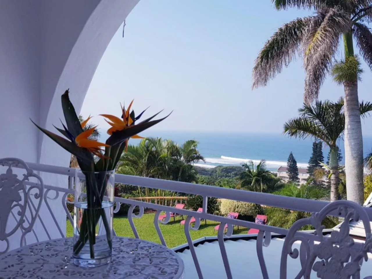 Sea view in ThE LaZy ShArK