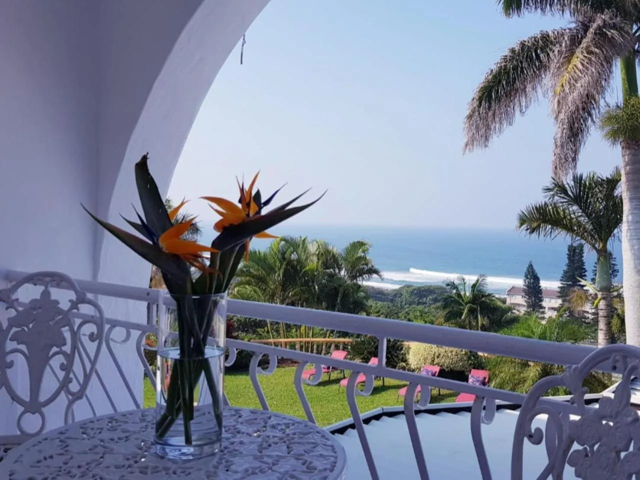 Sea view in ThE LaZy ShArK