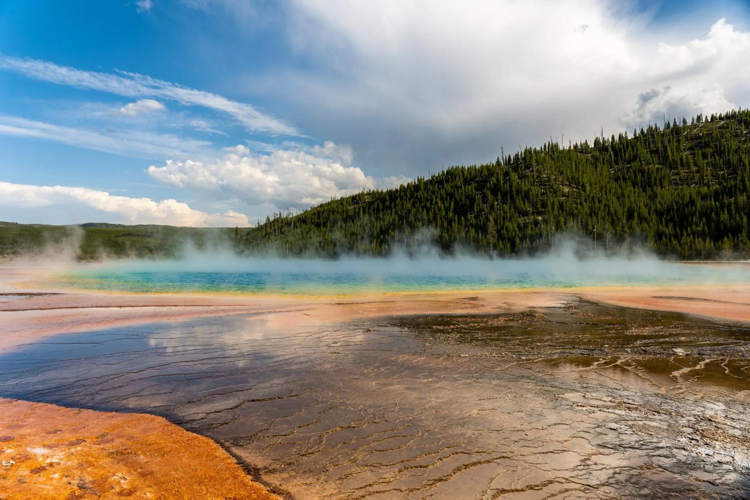 Natural landscape in Homestead #1