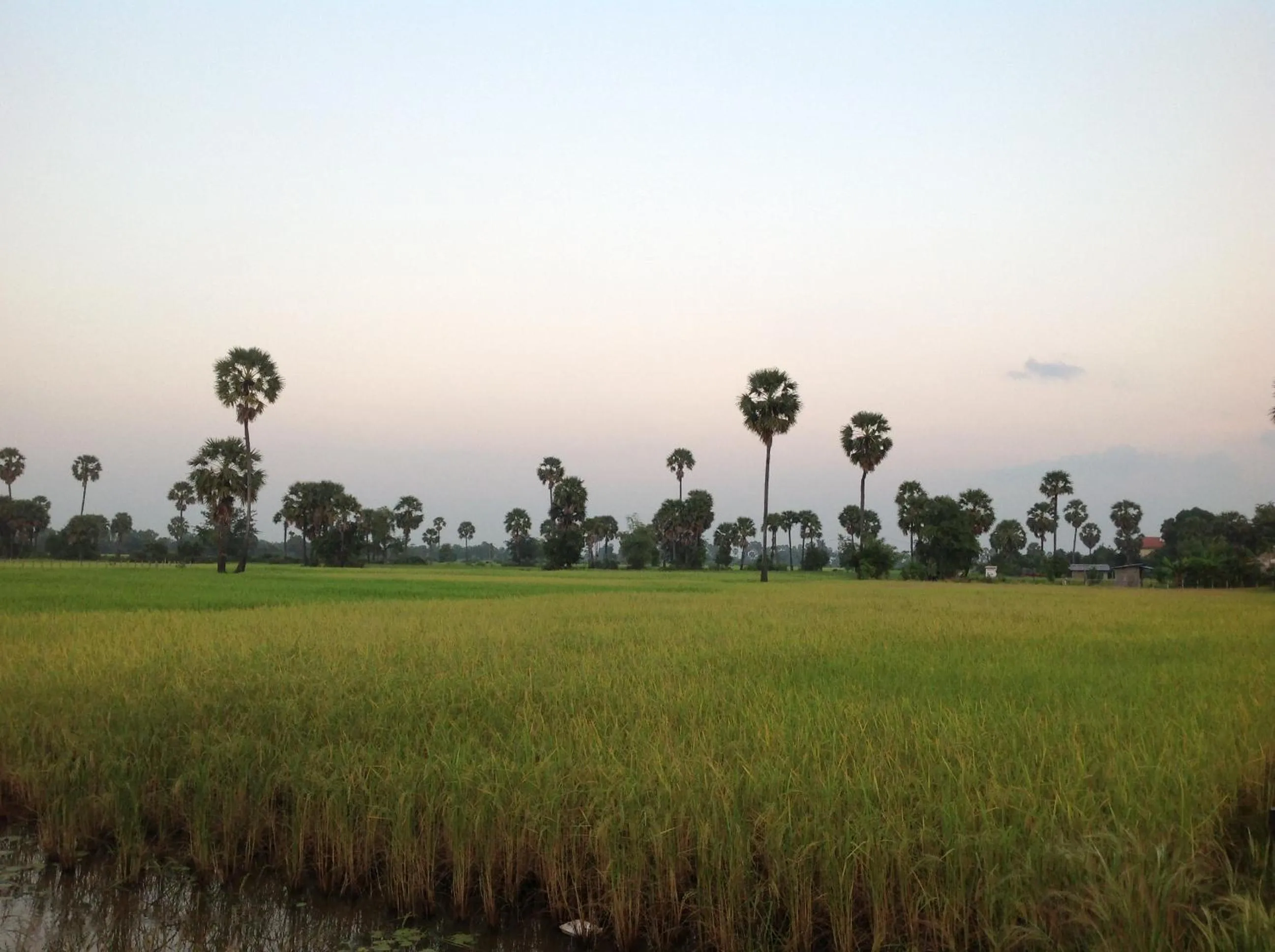 Photo of the whole room in Angkor Rural Boutique Resort