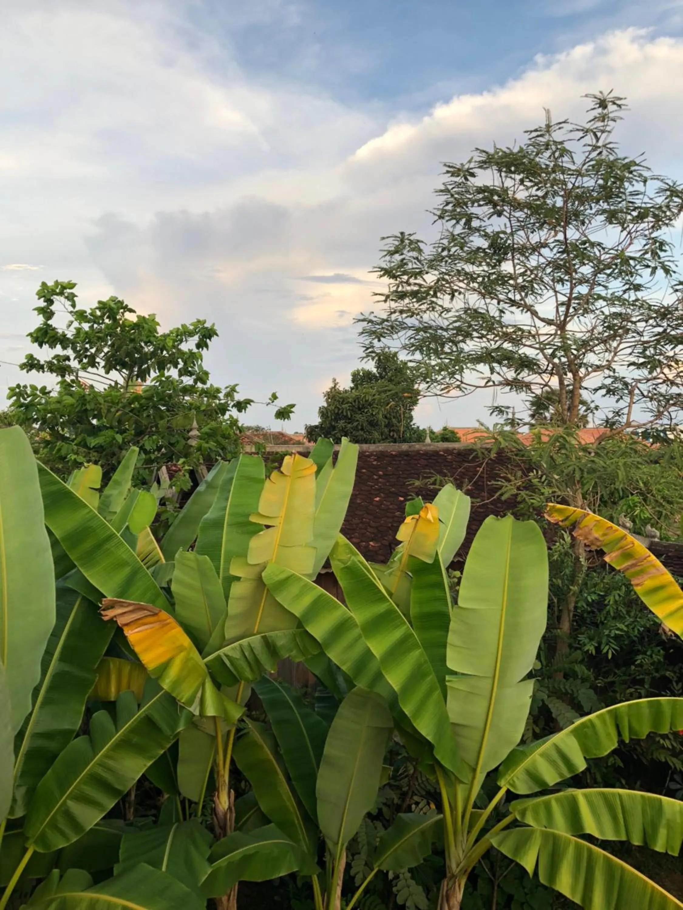 Angkor Rural Boutique Resort