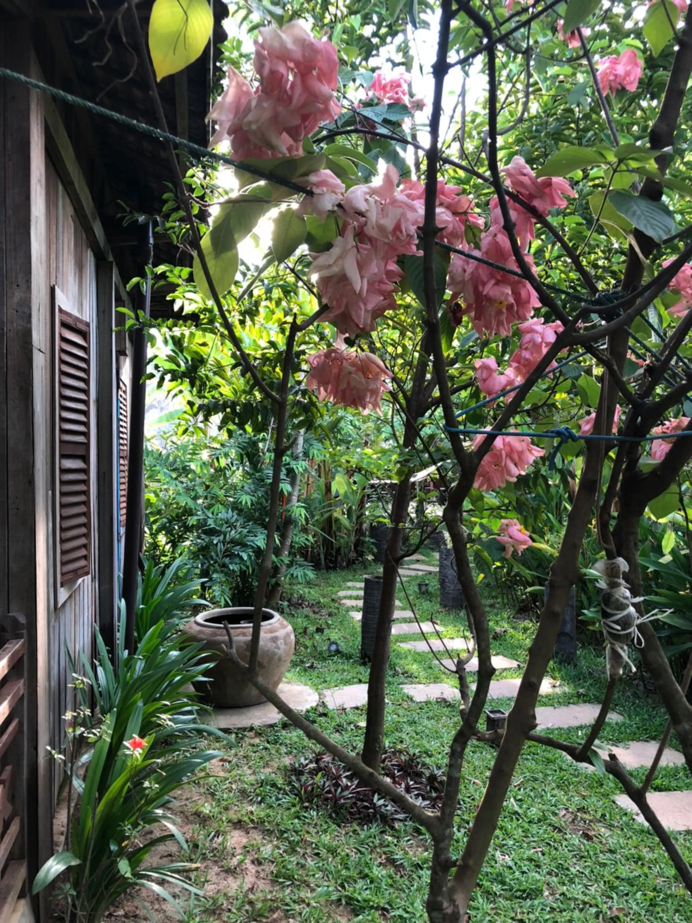 Angkor Rural Boutique Resort