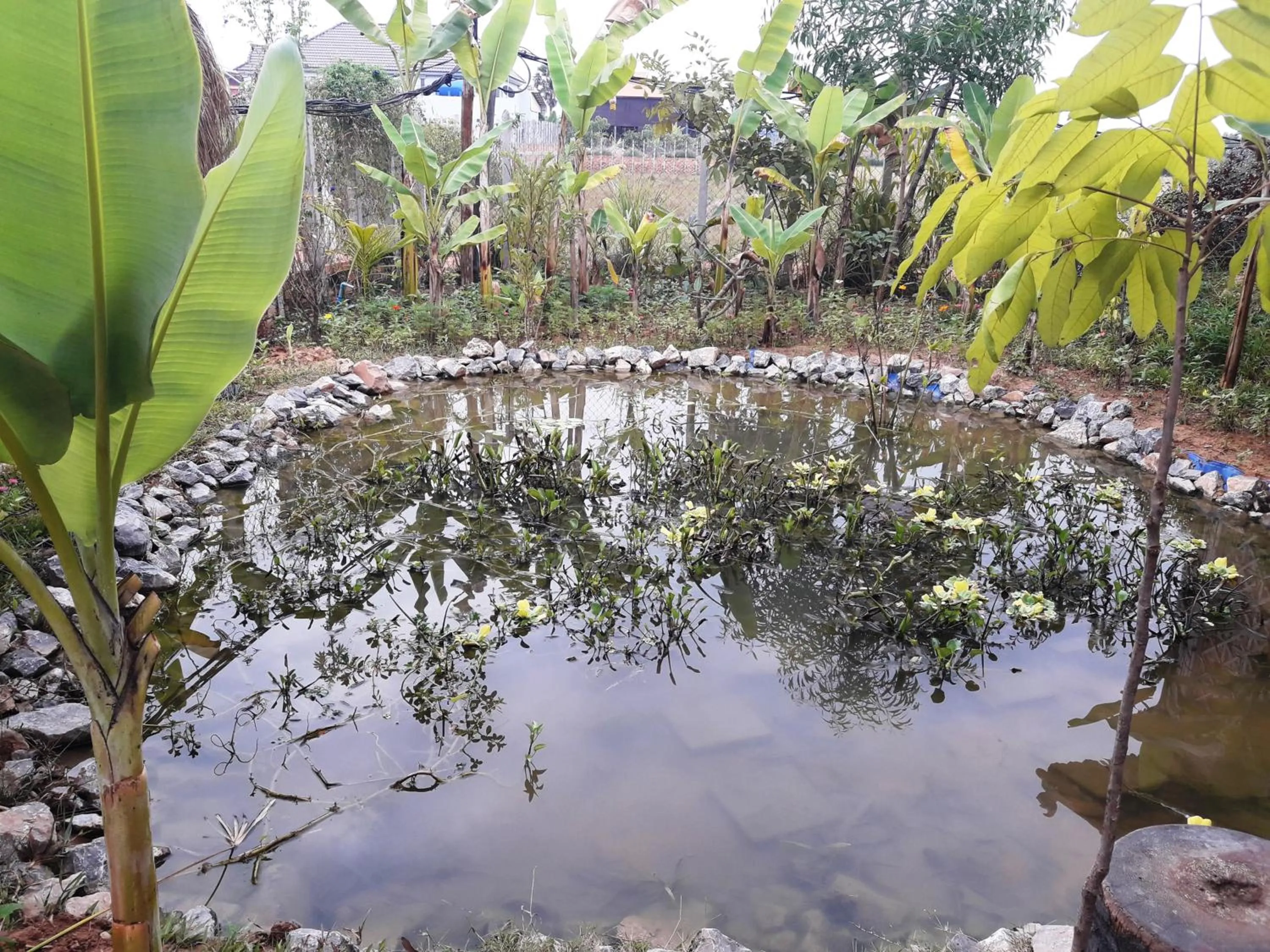 Angkor Rural Boutique Resort