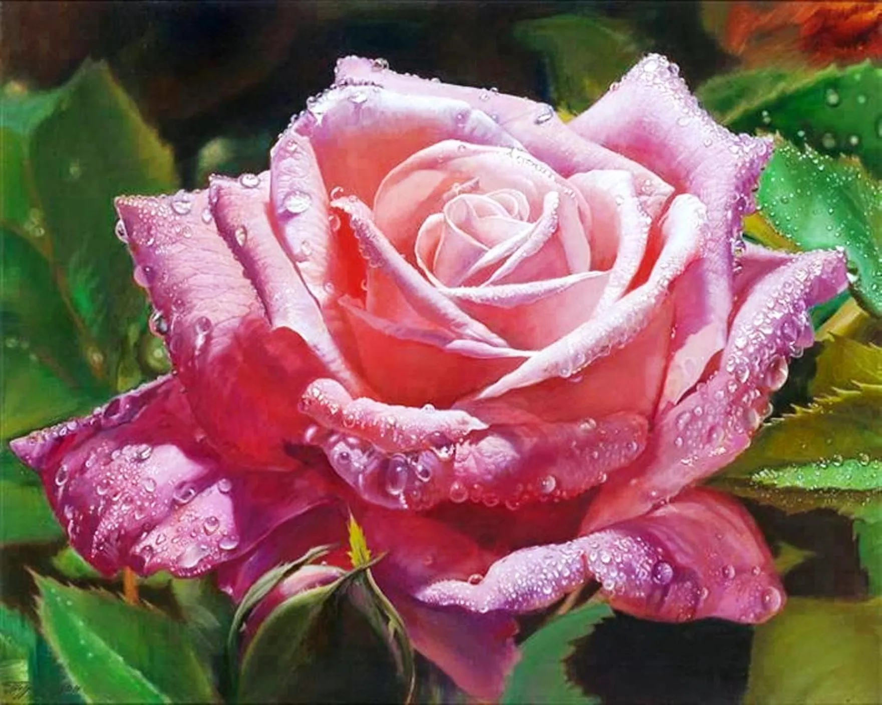 Food in Angkor Rural Boutique Resort