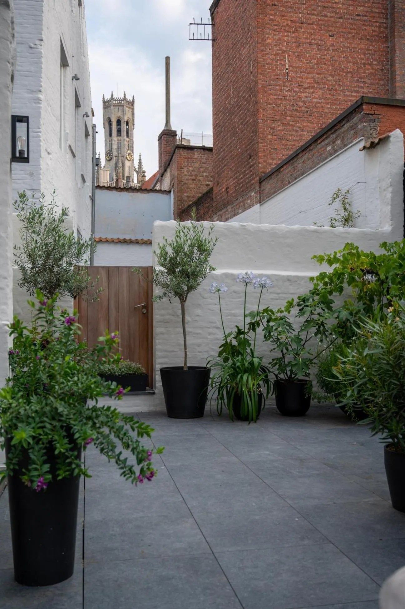 Patio in B&B l'histoire de l'éclair