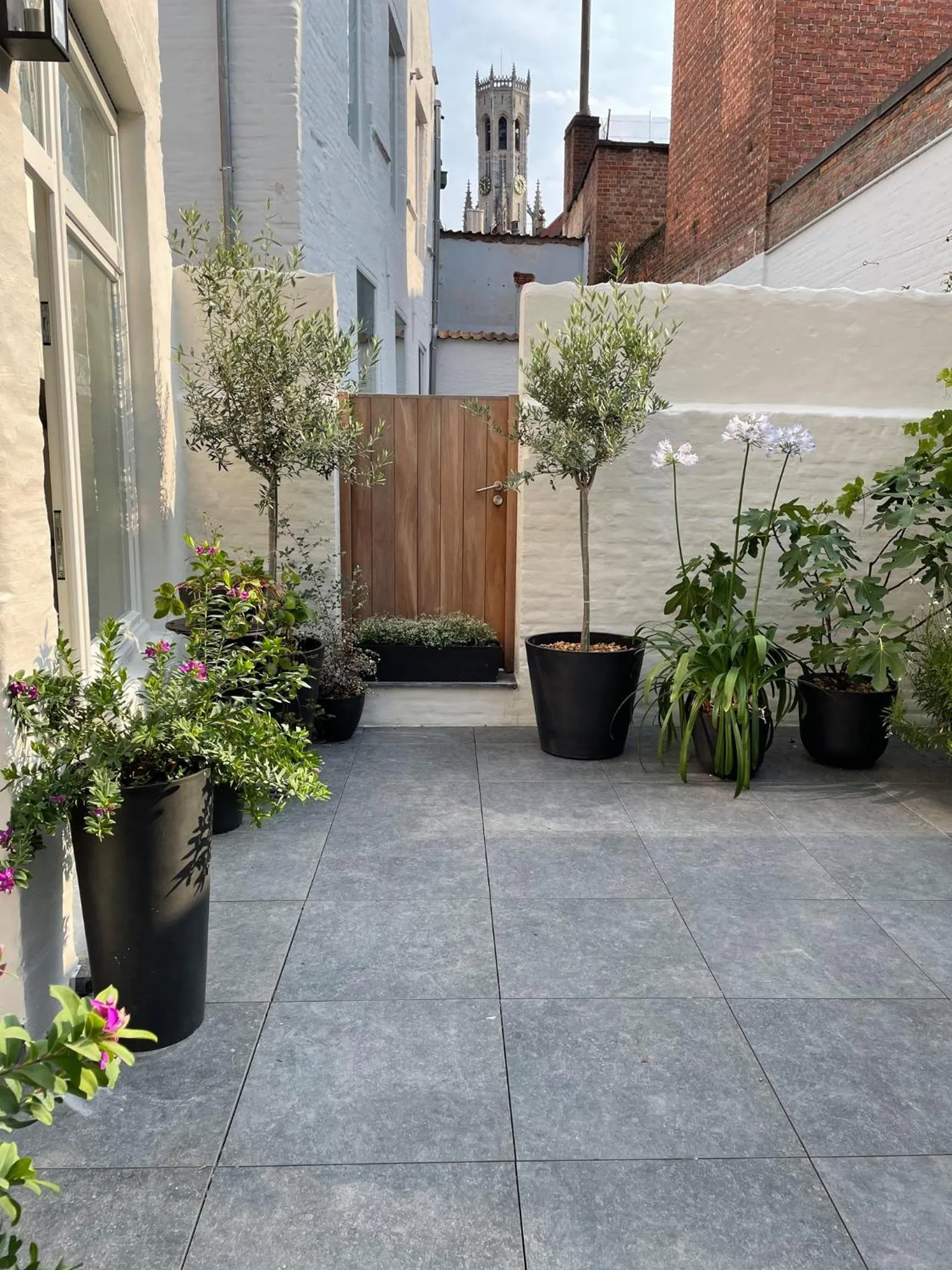 Patio in B&B l'histoire de l'éclair