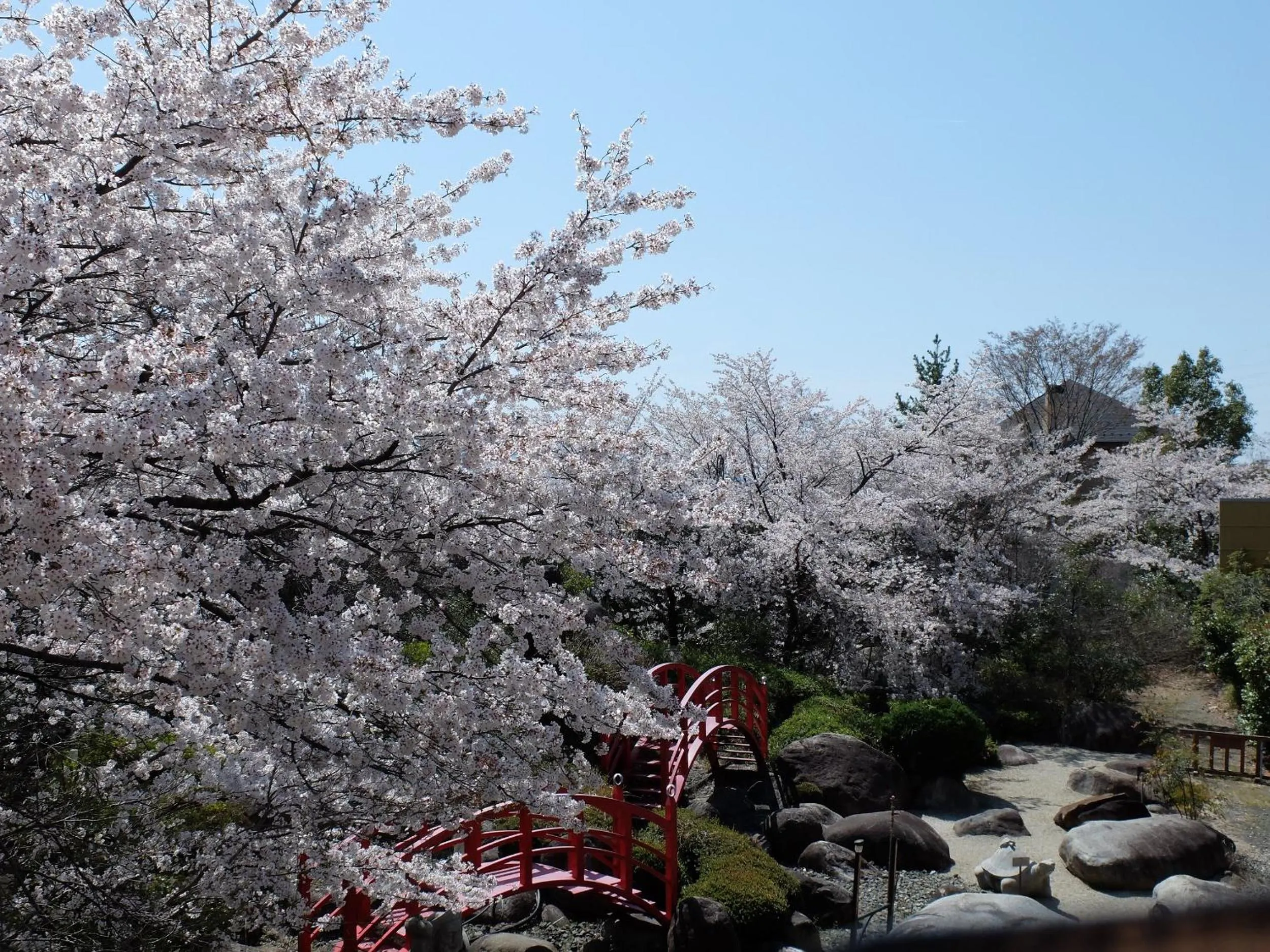 Spring in Hotel Kaminoyu Onsen