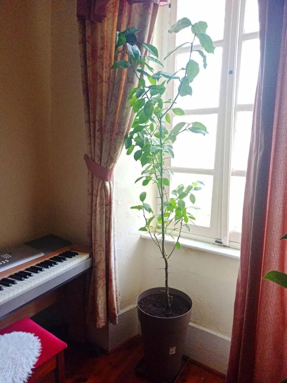 Activities in Chateau View Chambres d'hôtes