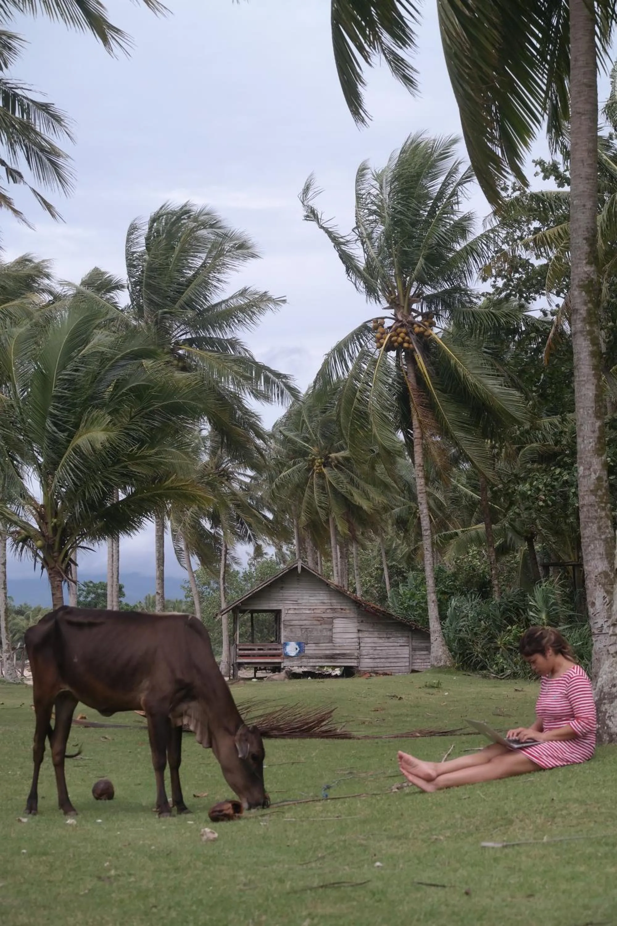 Natural landscape in Cabana Surf and Stay