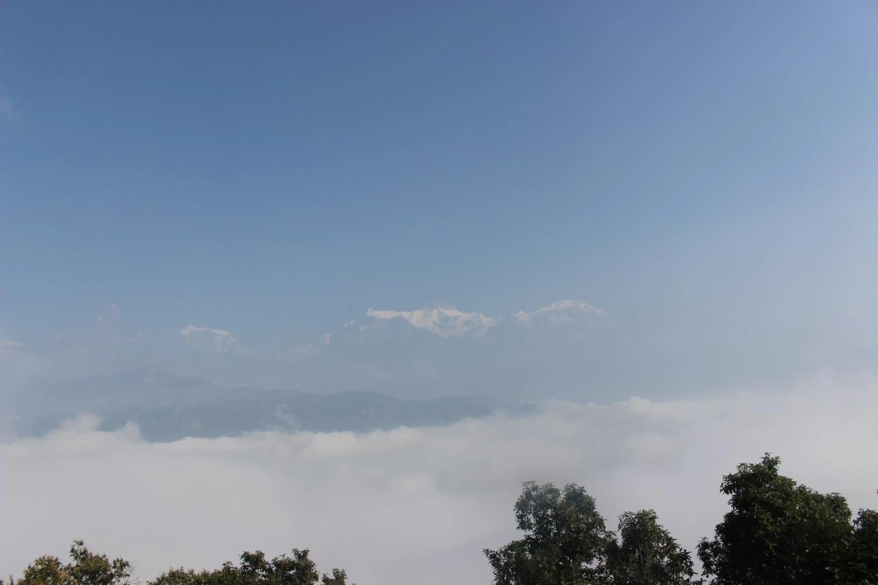 Day in Siddhartha Garden Ayurveda