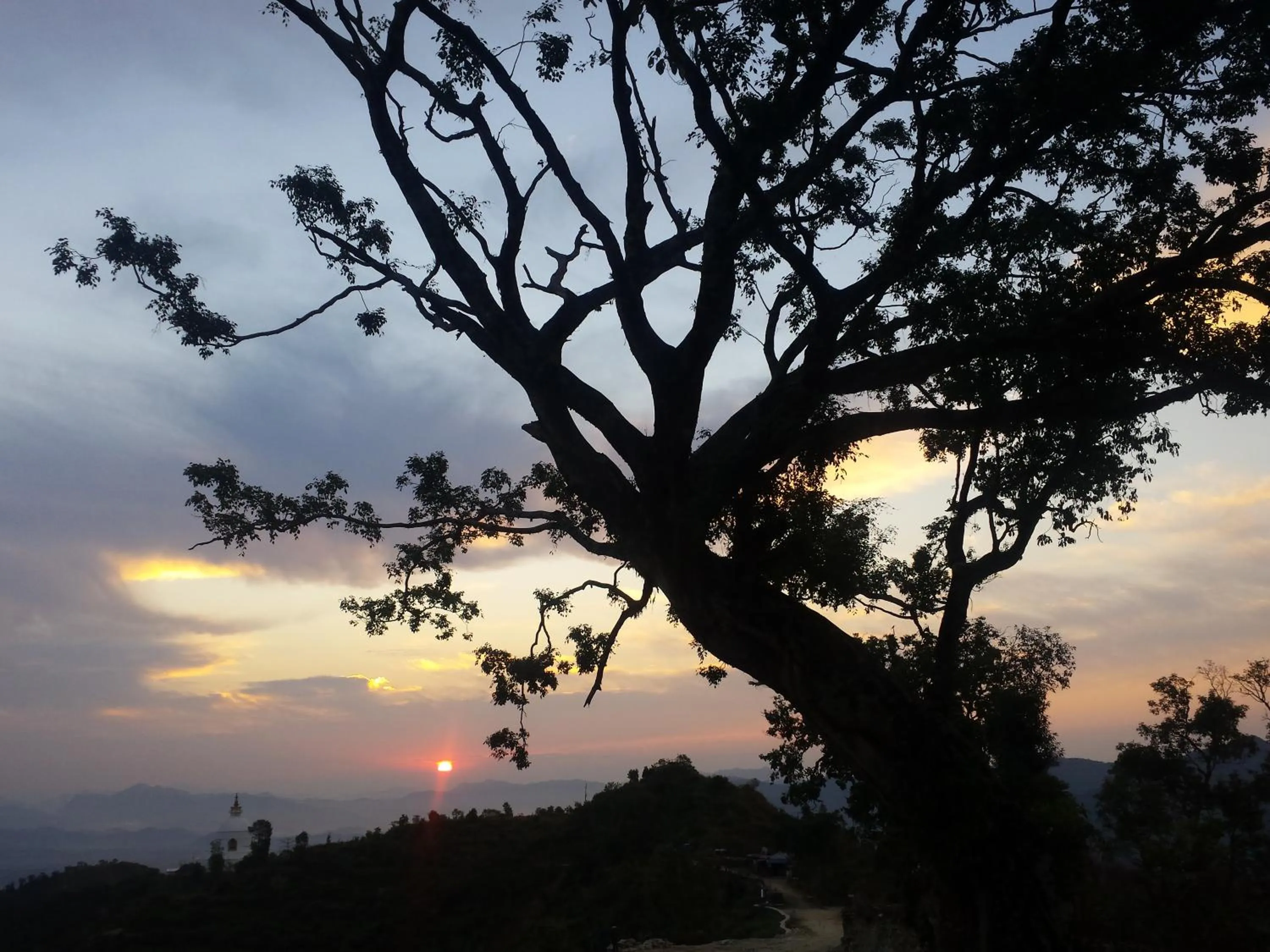 View (from property/room) in Siddhartha Garden Ayurveda