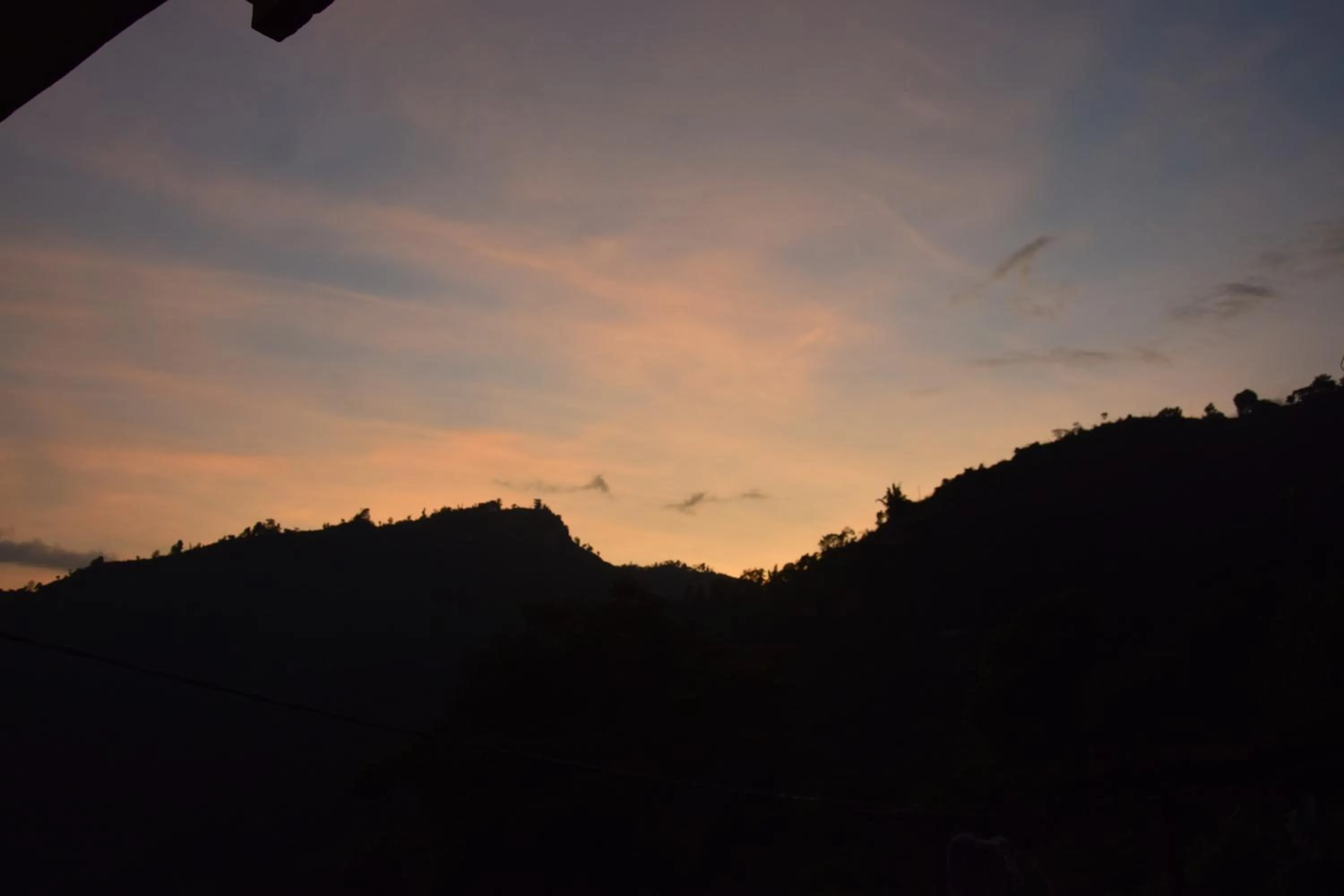 View (from property/room) in Siddhartha Garden Ayurveda