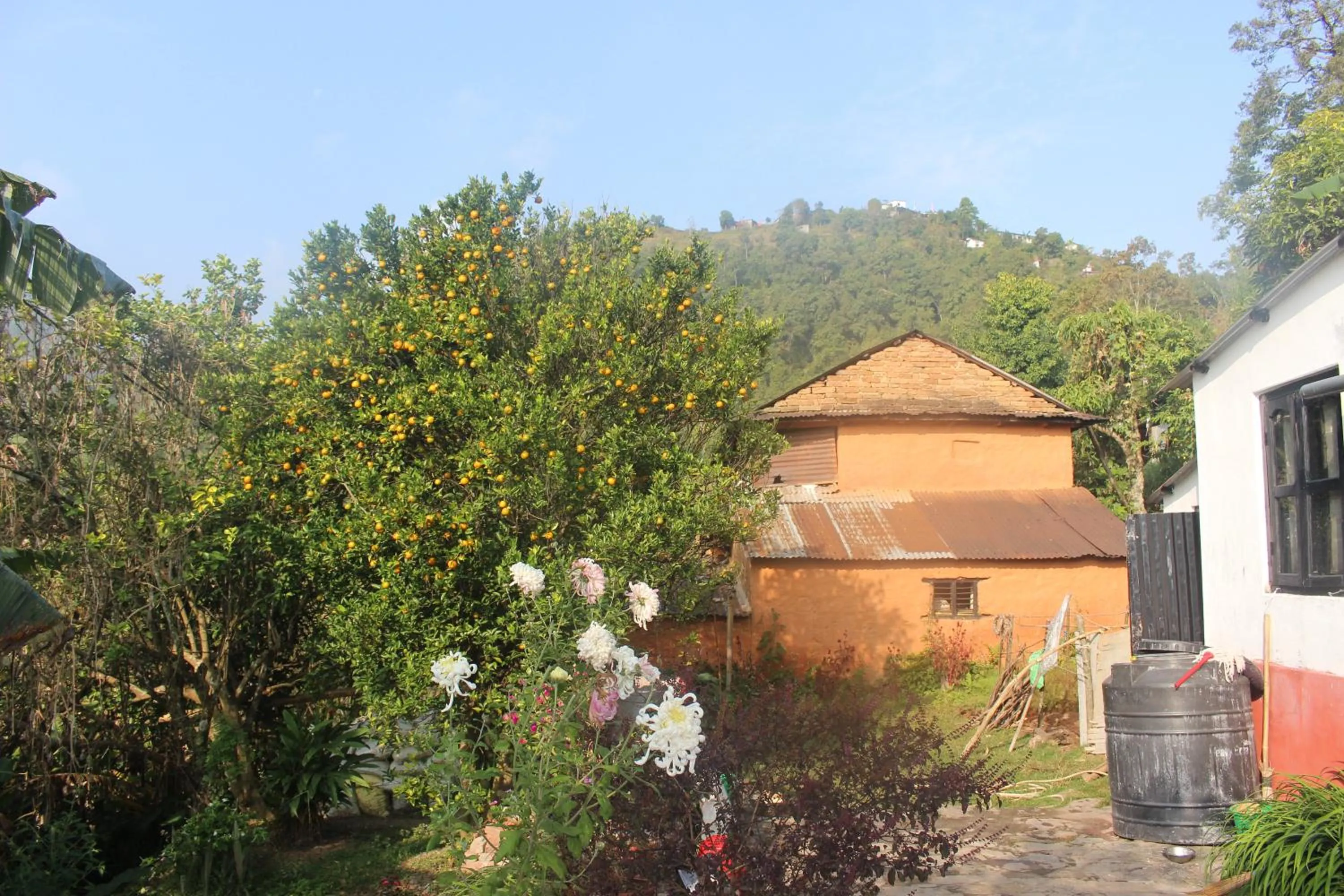 Other in Siddhartha Garden Ayurveda