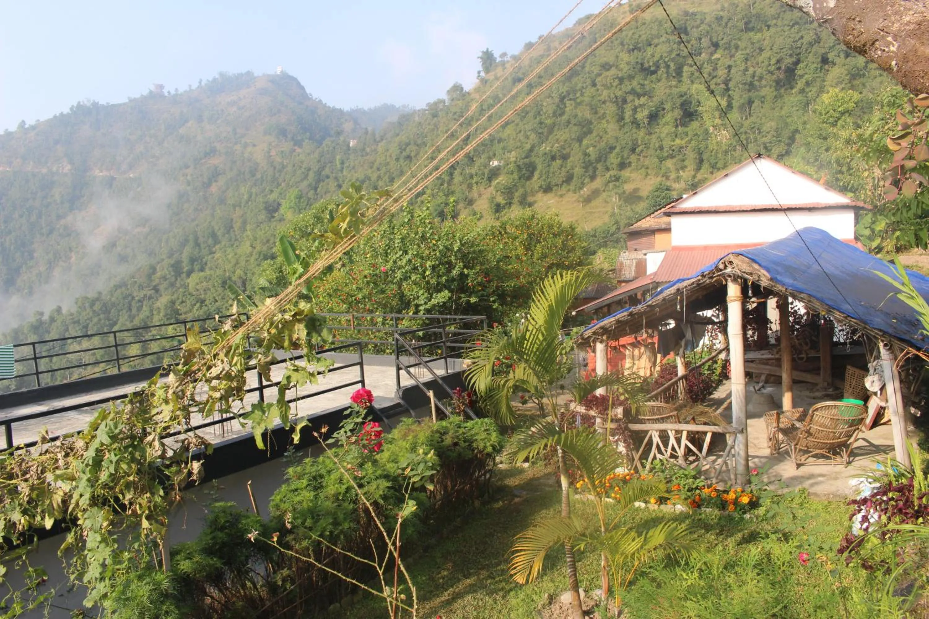 View (from property/room) in Siddhartha Garden Ayurveda