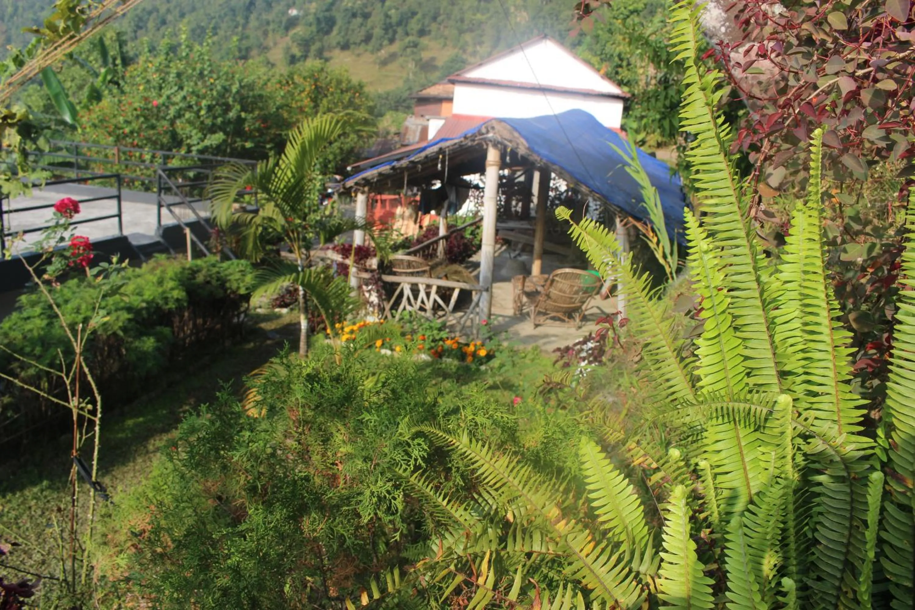 Day in Siddhartha Garden Ayurveda