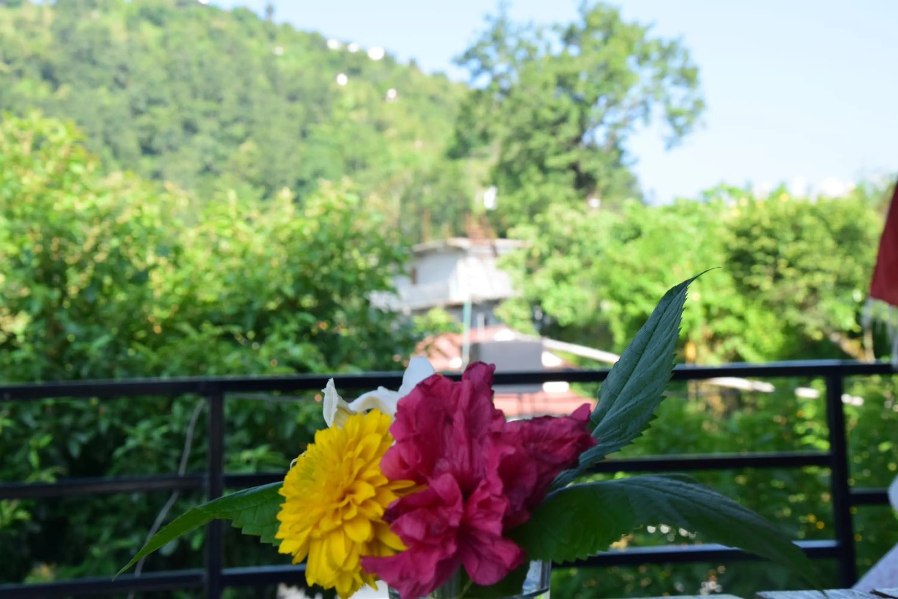 Decorative detail in Siddhartha Garden Ayurveda
