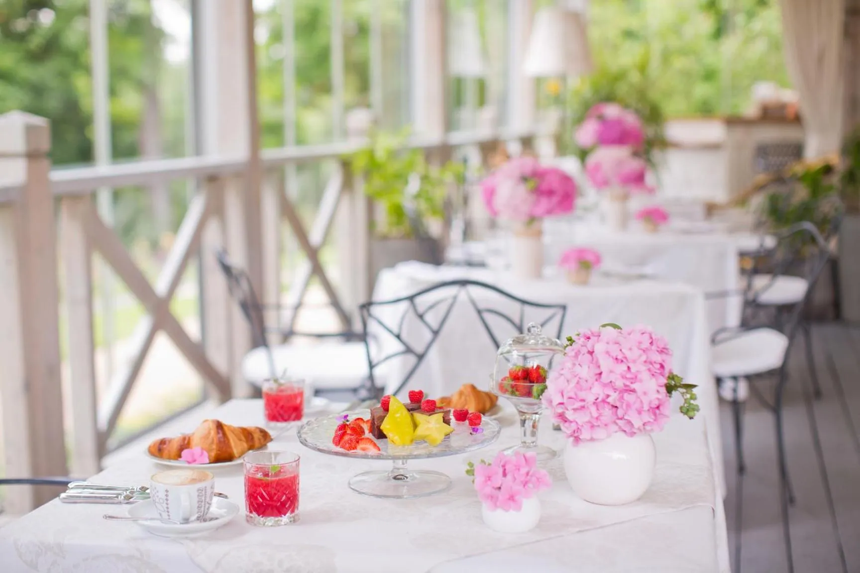 Garden view in Chateau Mcely