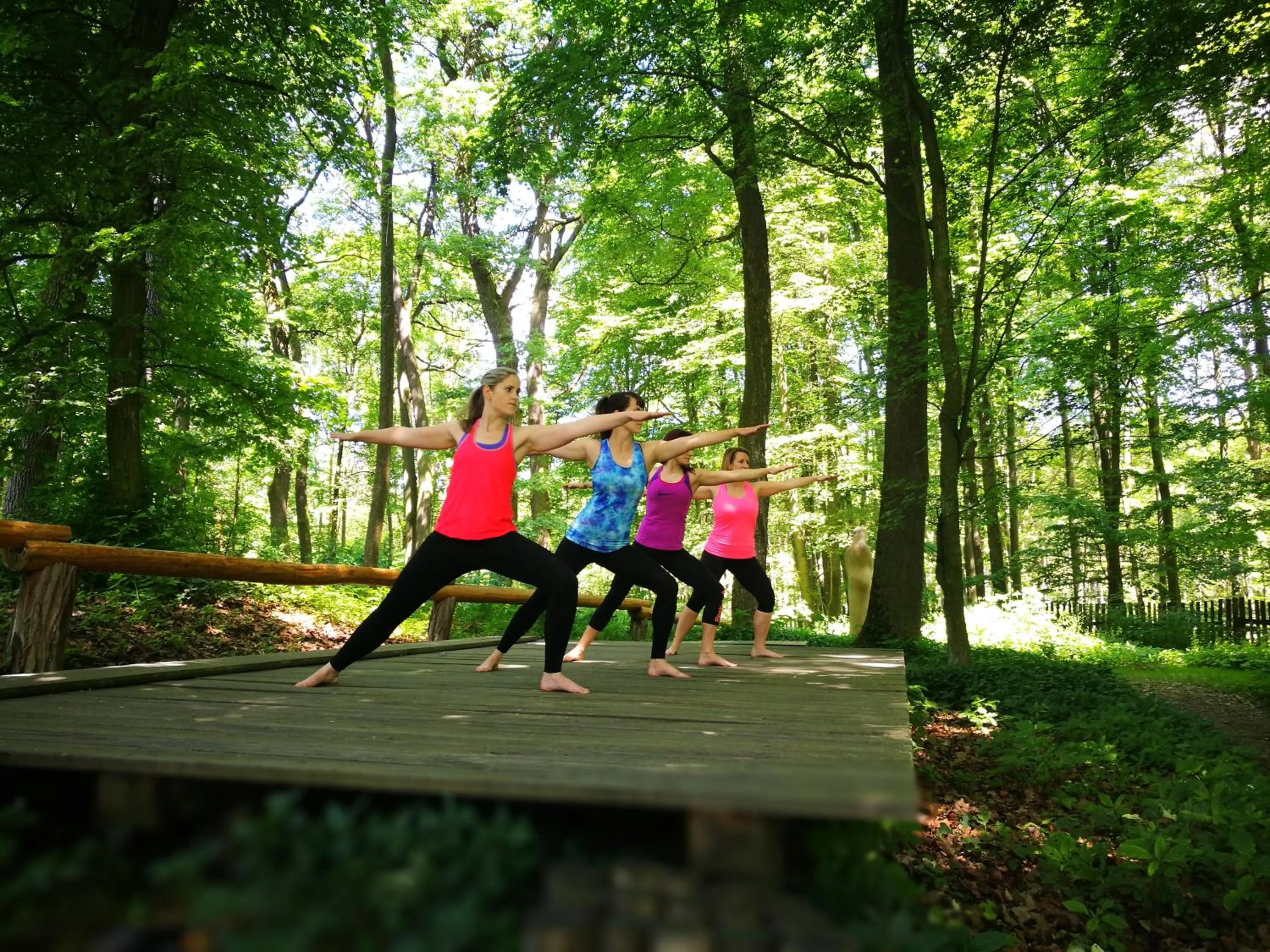 Garden in Chateau Mcely