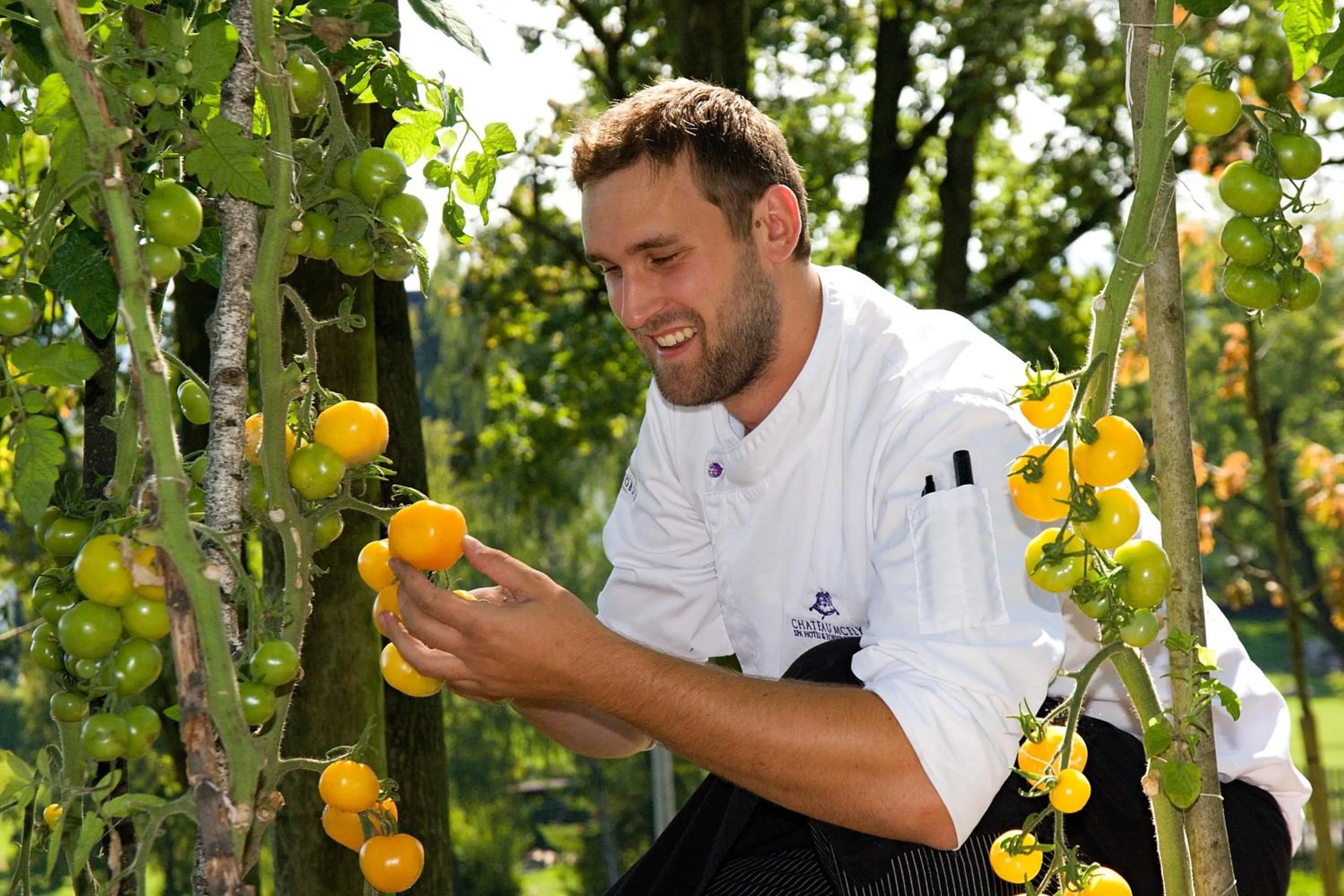 Food in Chateau Mcely