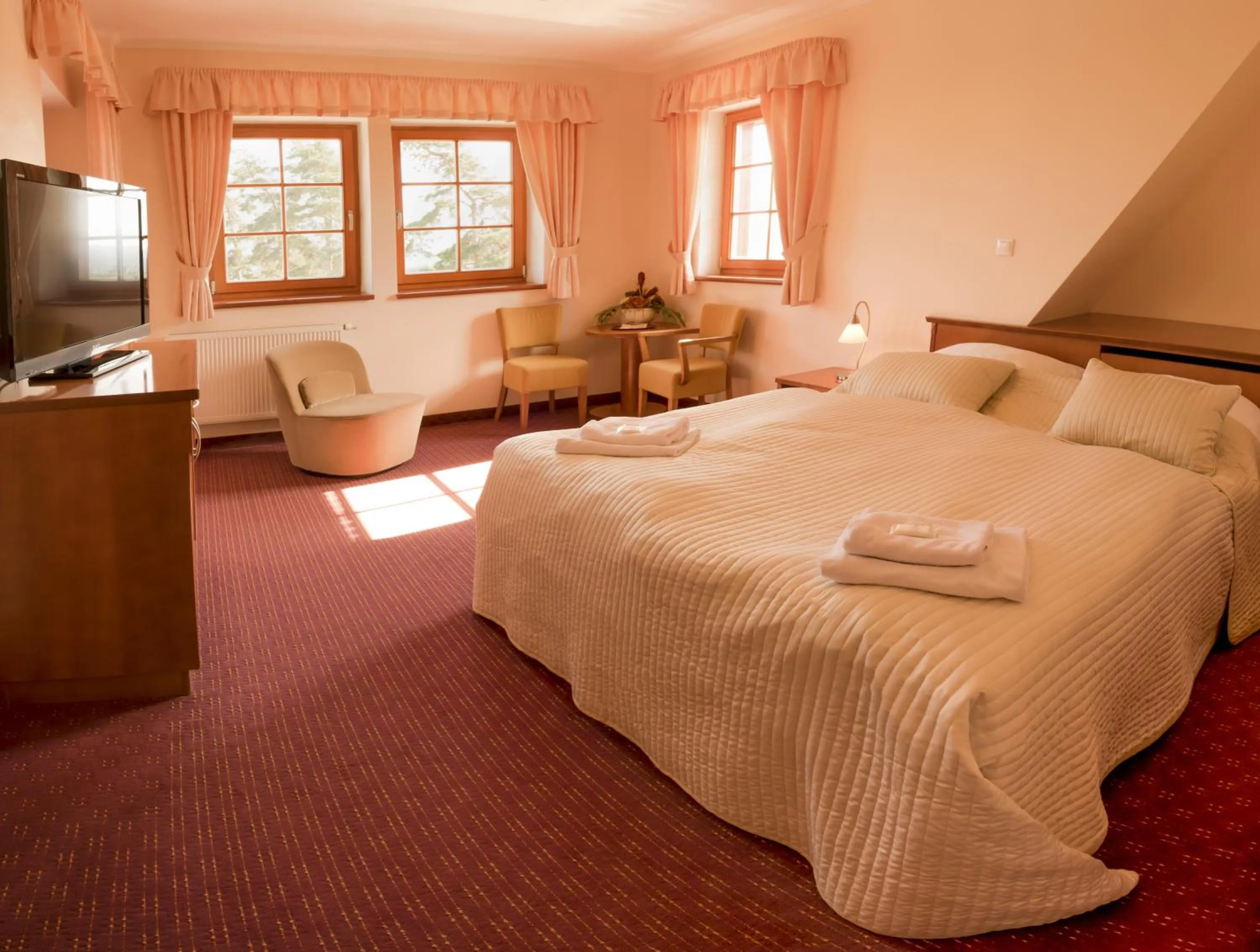 Apartment in Hotel VÍTKOVA HORA