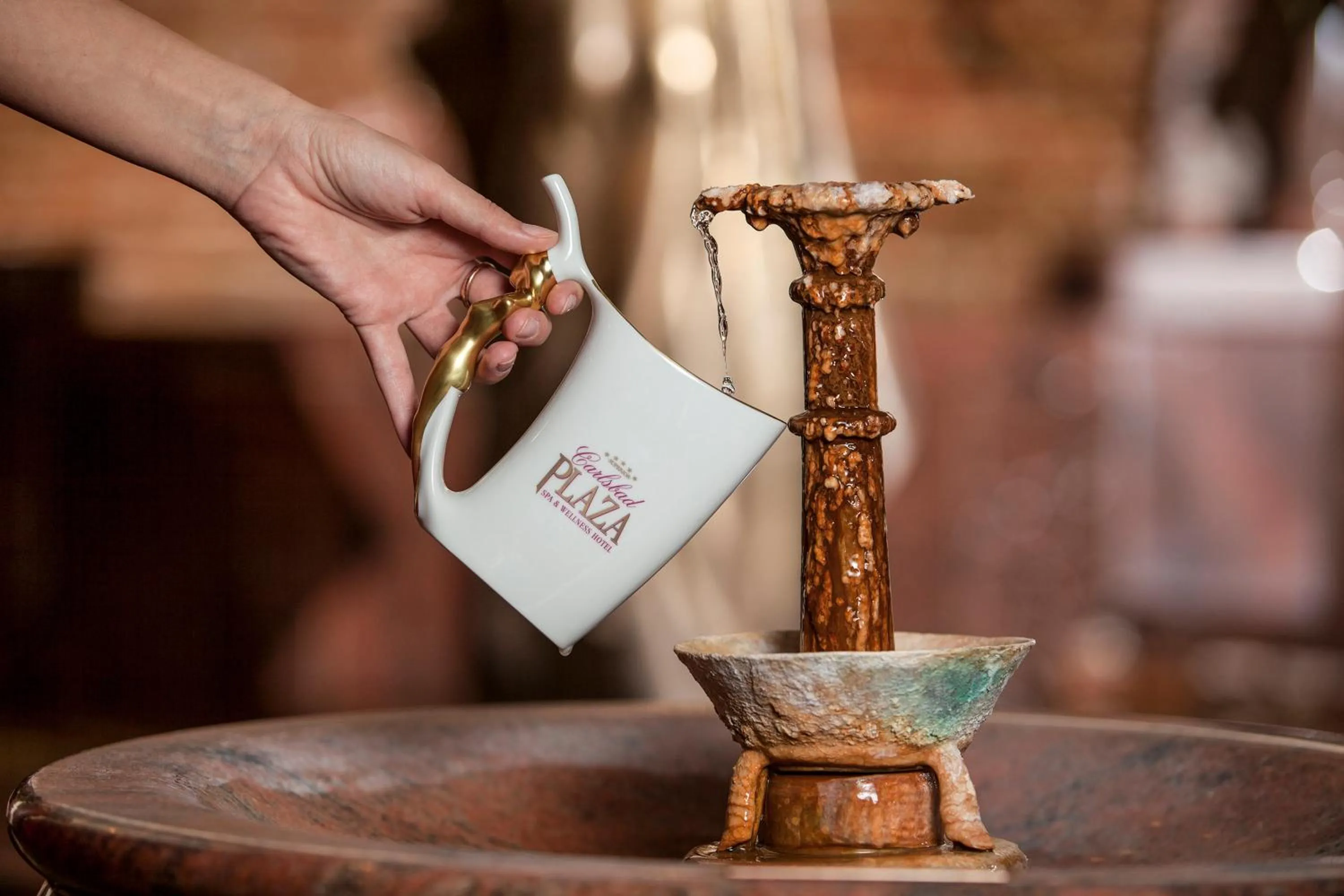 Spring in Carlsbad Plaza Medical Spa & Wellness hotel