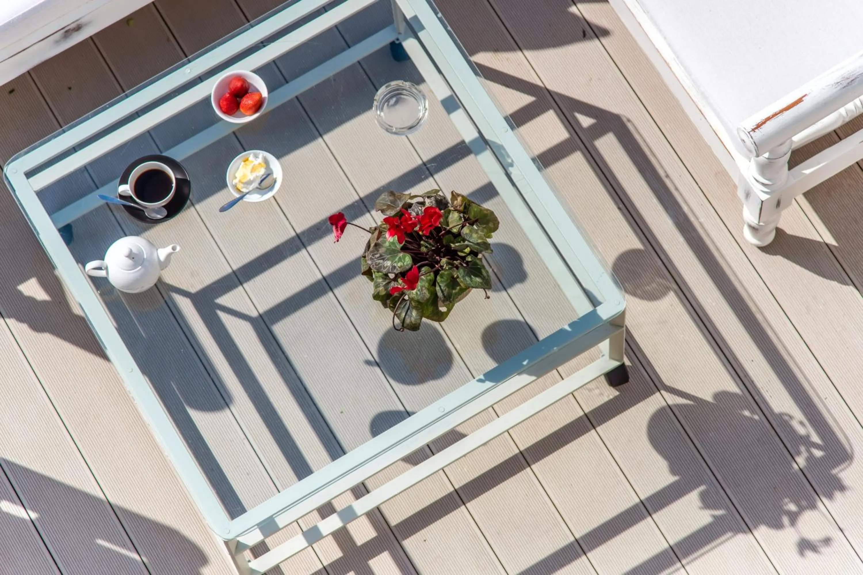 Garden in Byzantio City Hotel