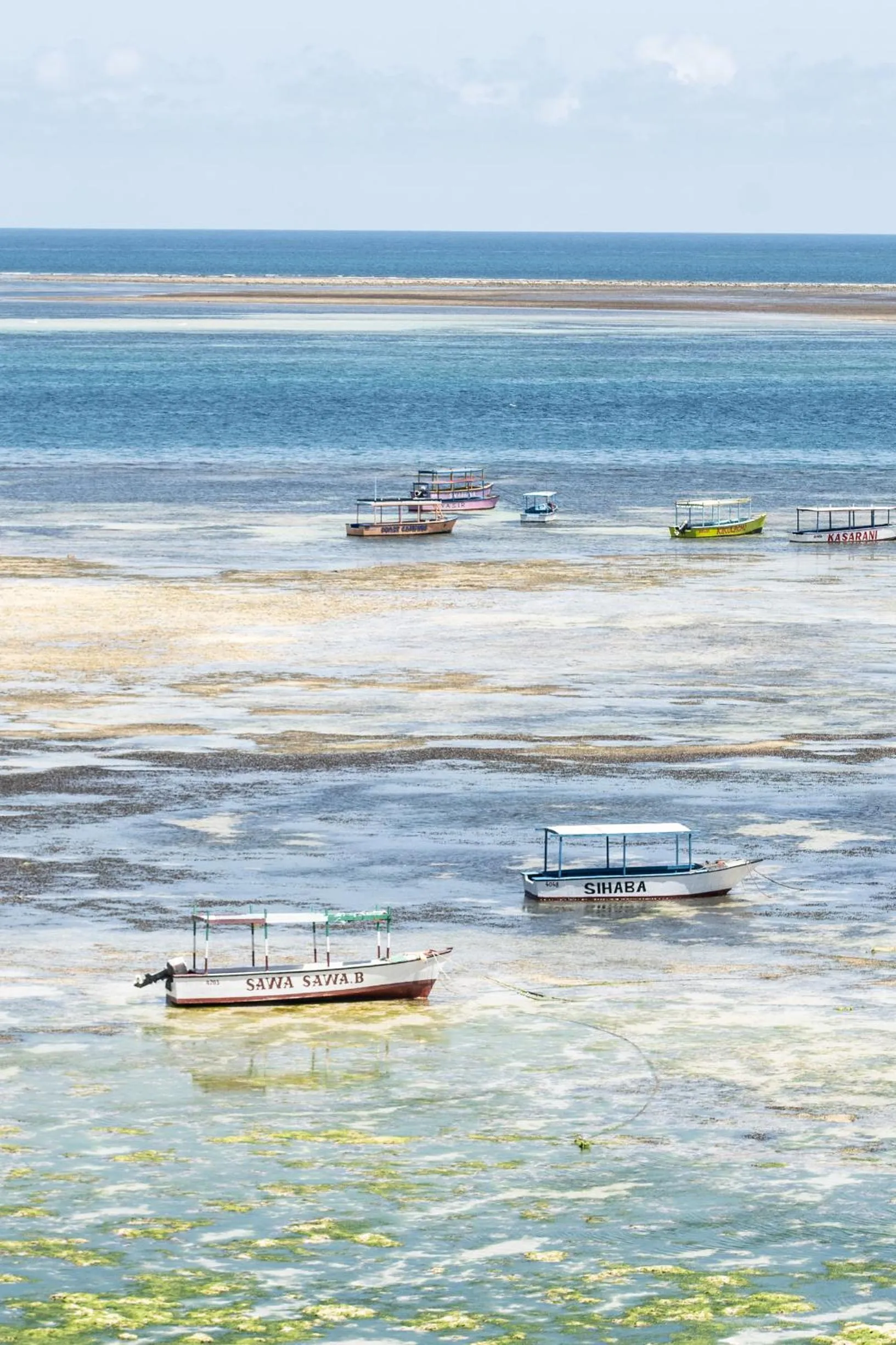 Natural landscape in Billionaire Resort & Retreat Malindi